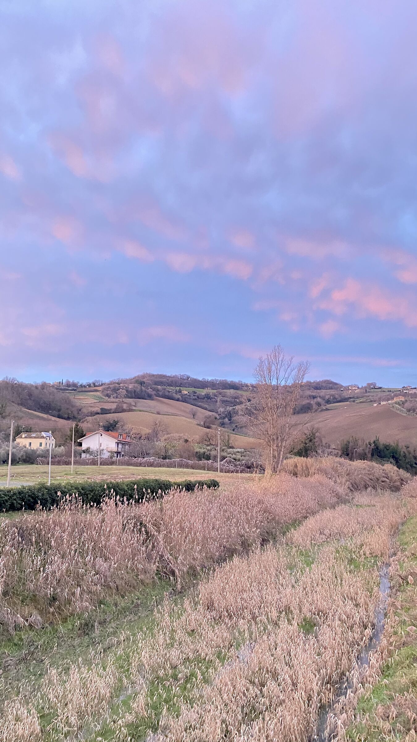 Sunrise in the Marche countryside