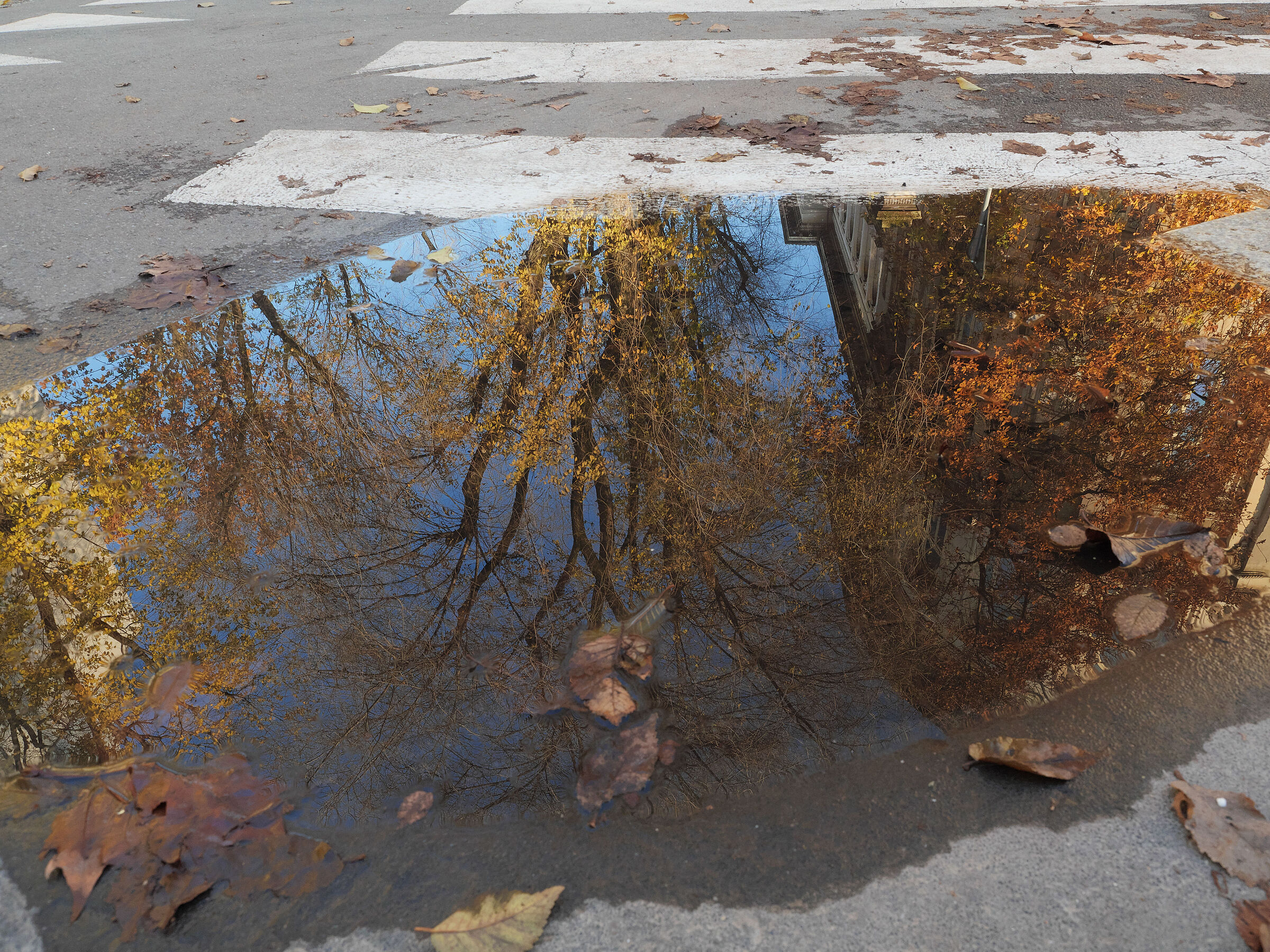 attraverso l'autunno