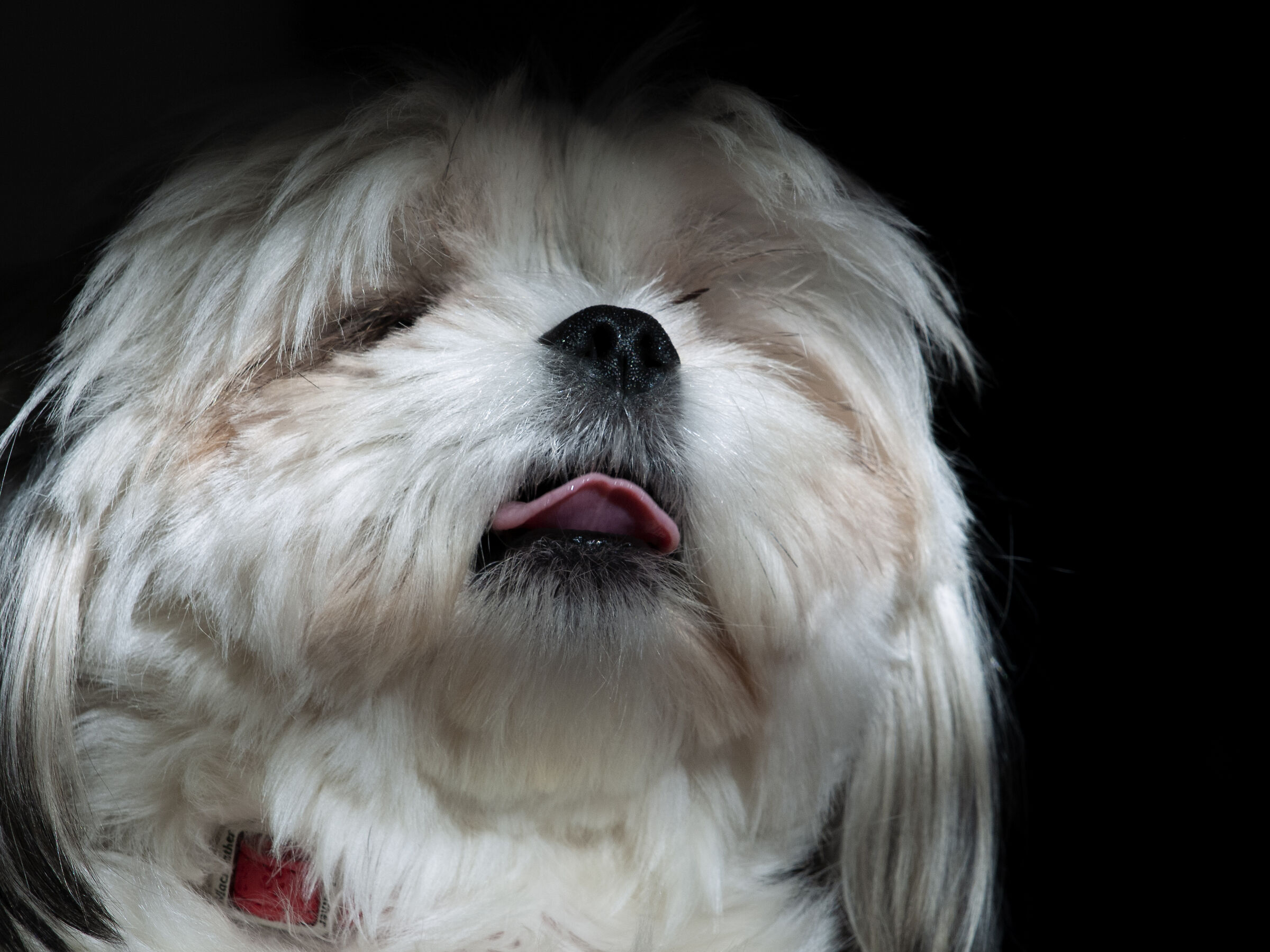 One step away from yawning