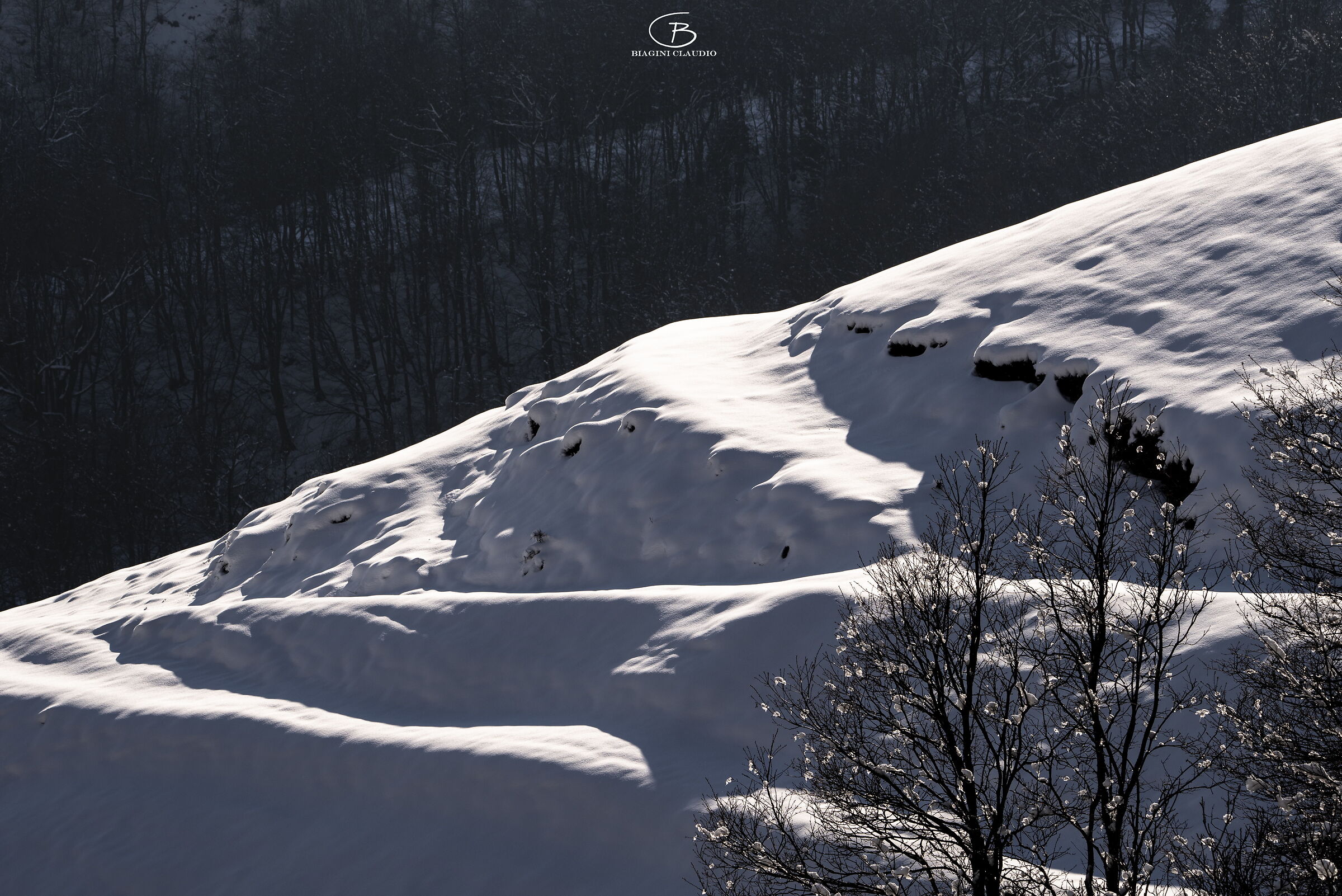 Dune di neve