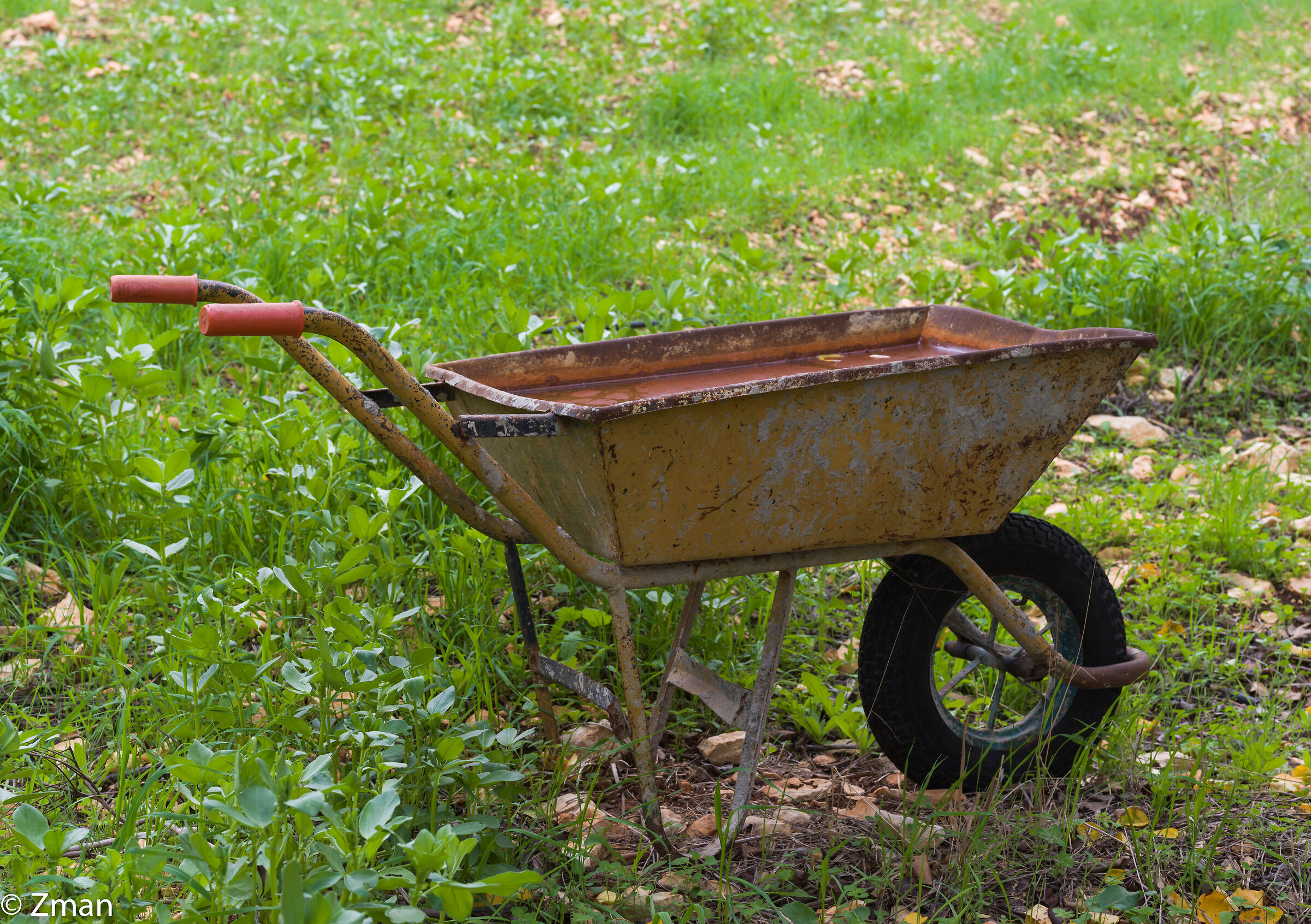 The Wheelbarrow