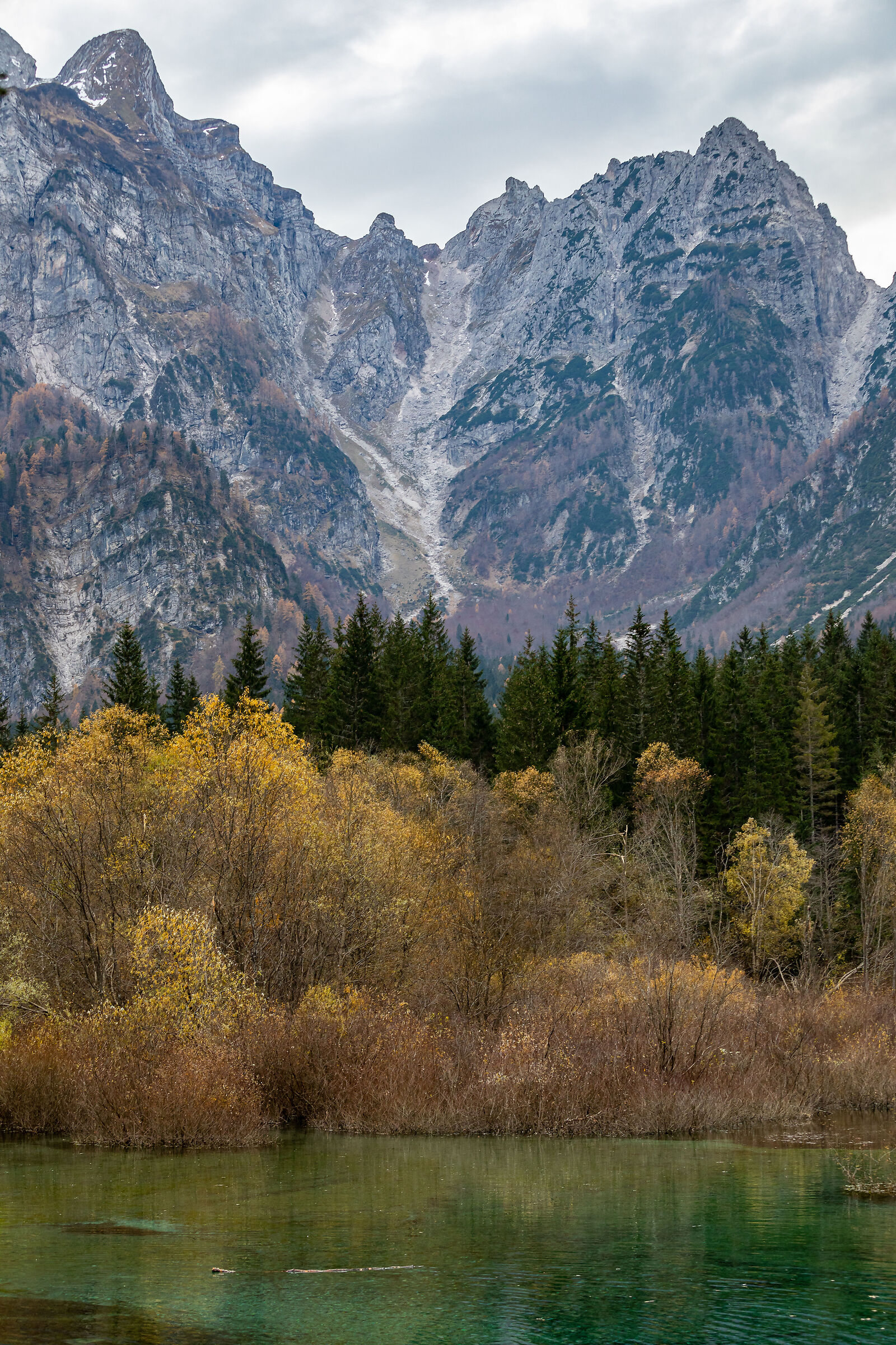 La montagna sopra Fusine