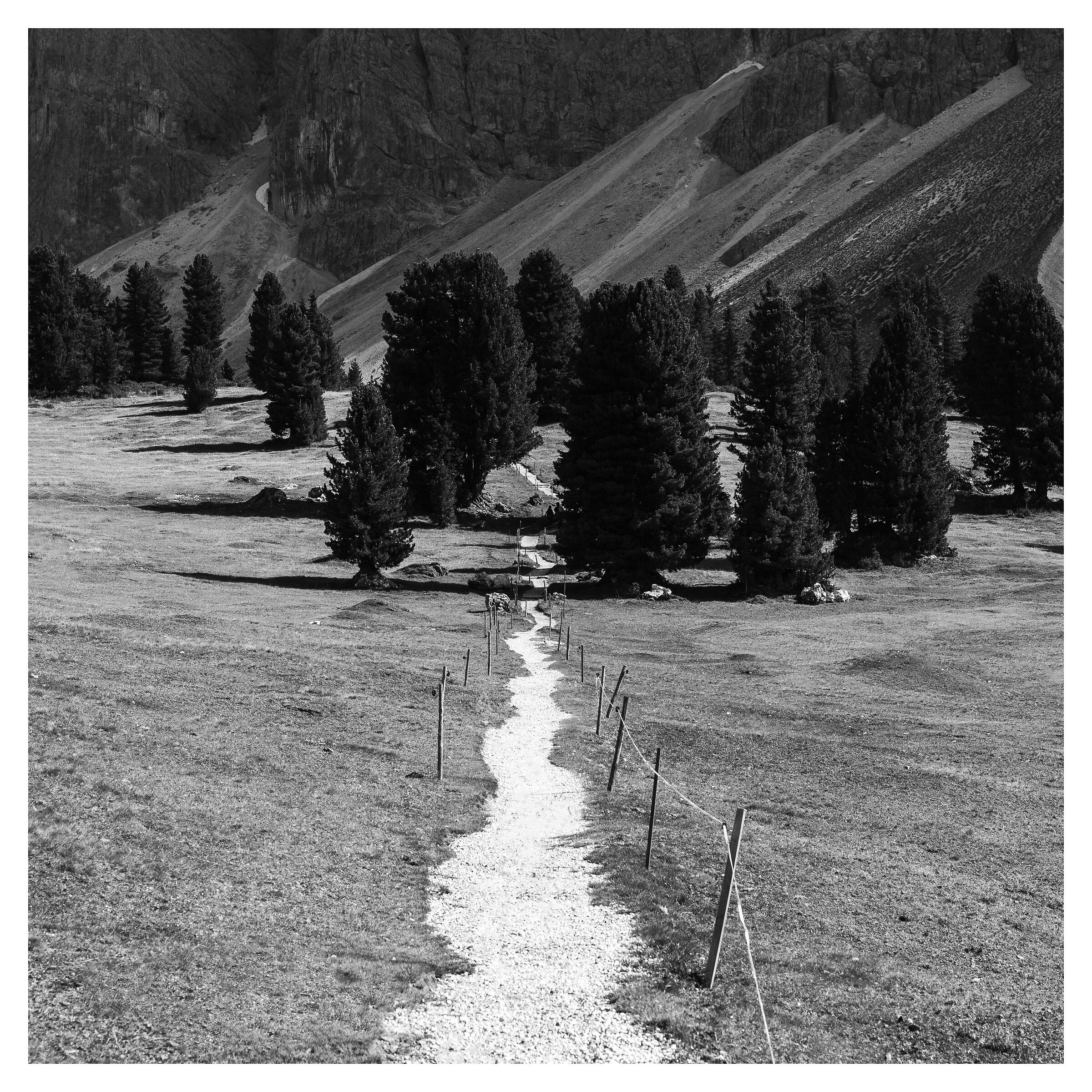 Solitary Road, New Home