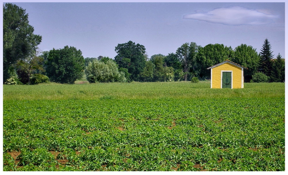 Il capanno giallo
