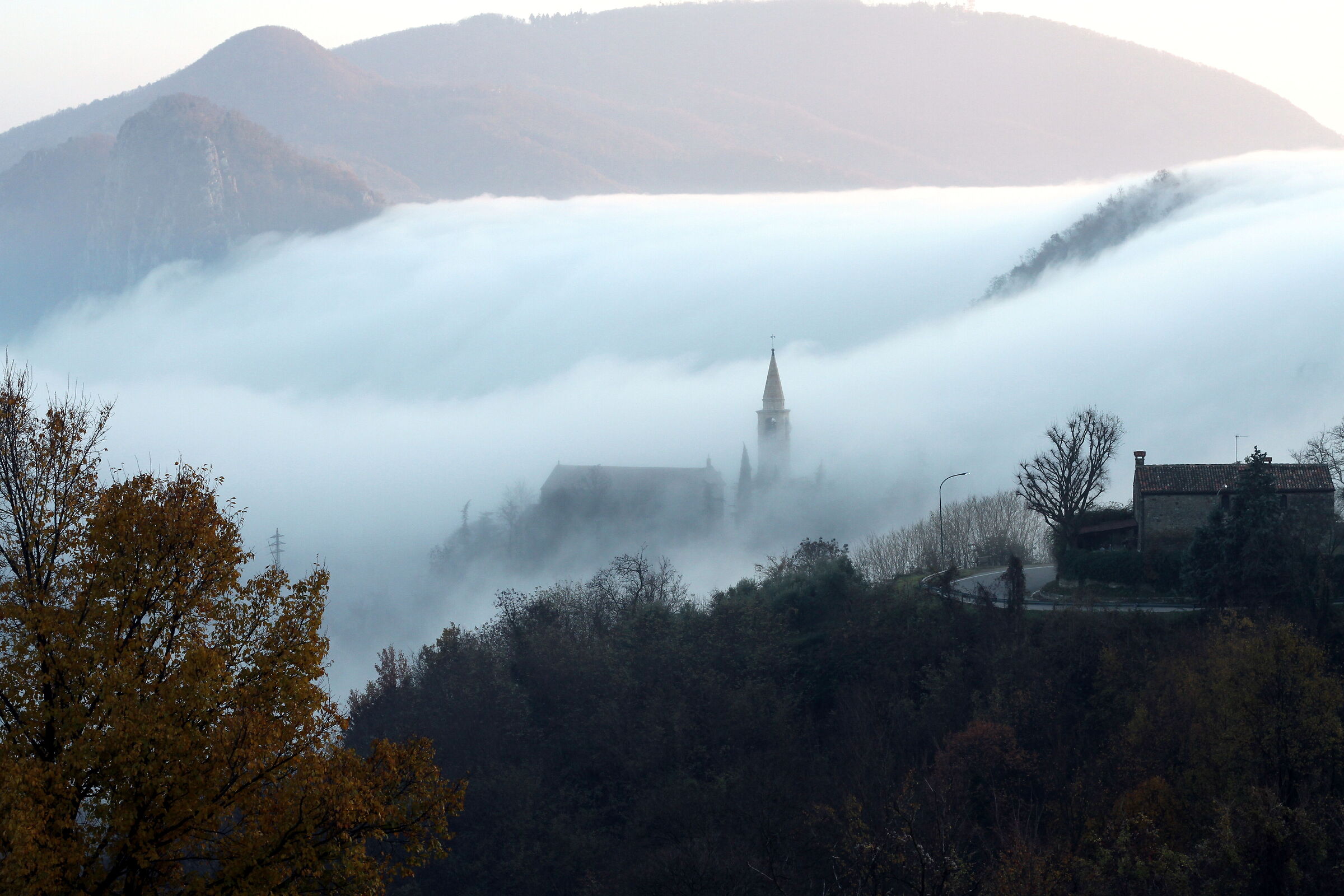 nebbia 1