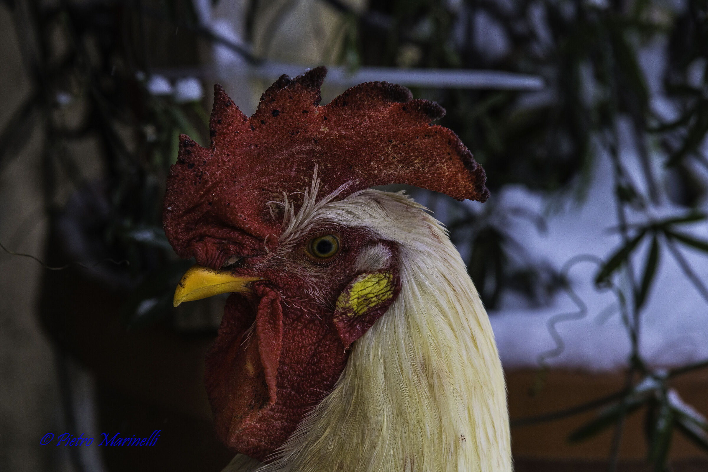 .... today I'm not in the mood.....