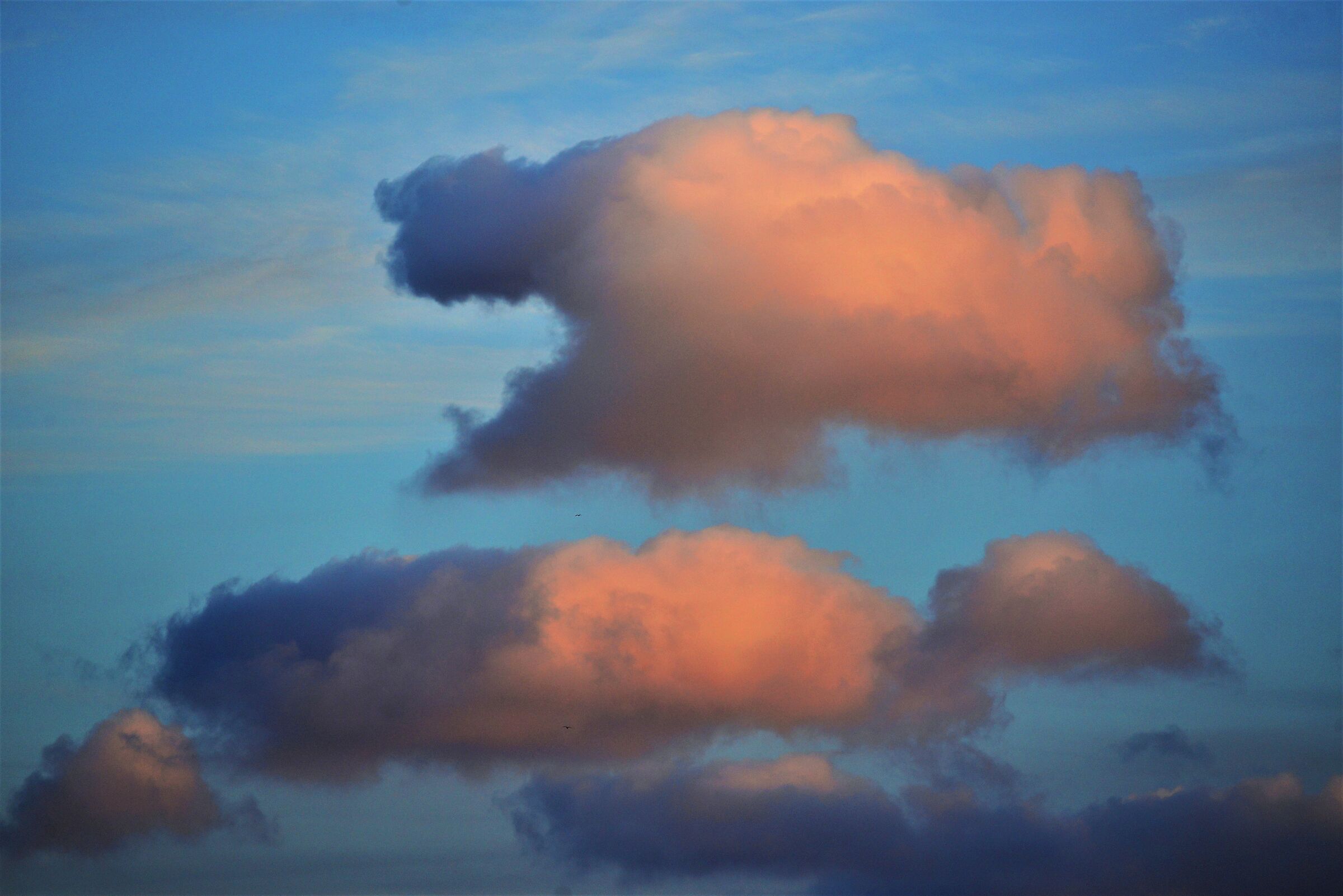 Traveling in the clouds.