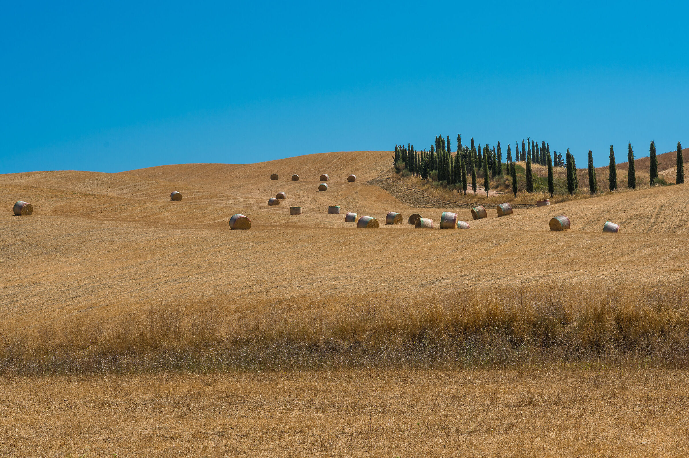 the twenty-four round bales..........
