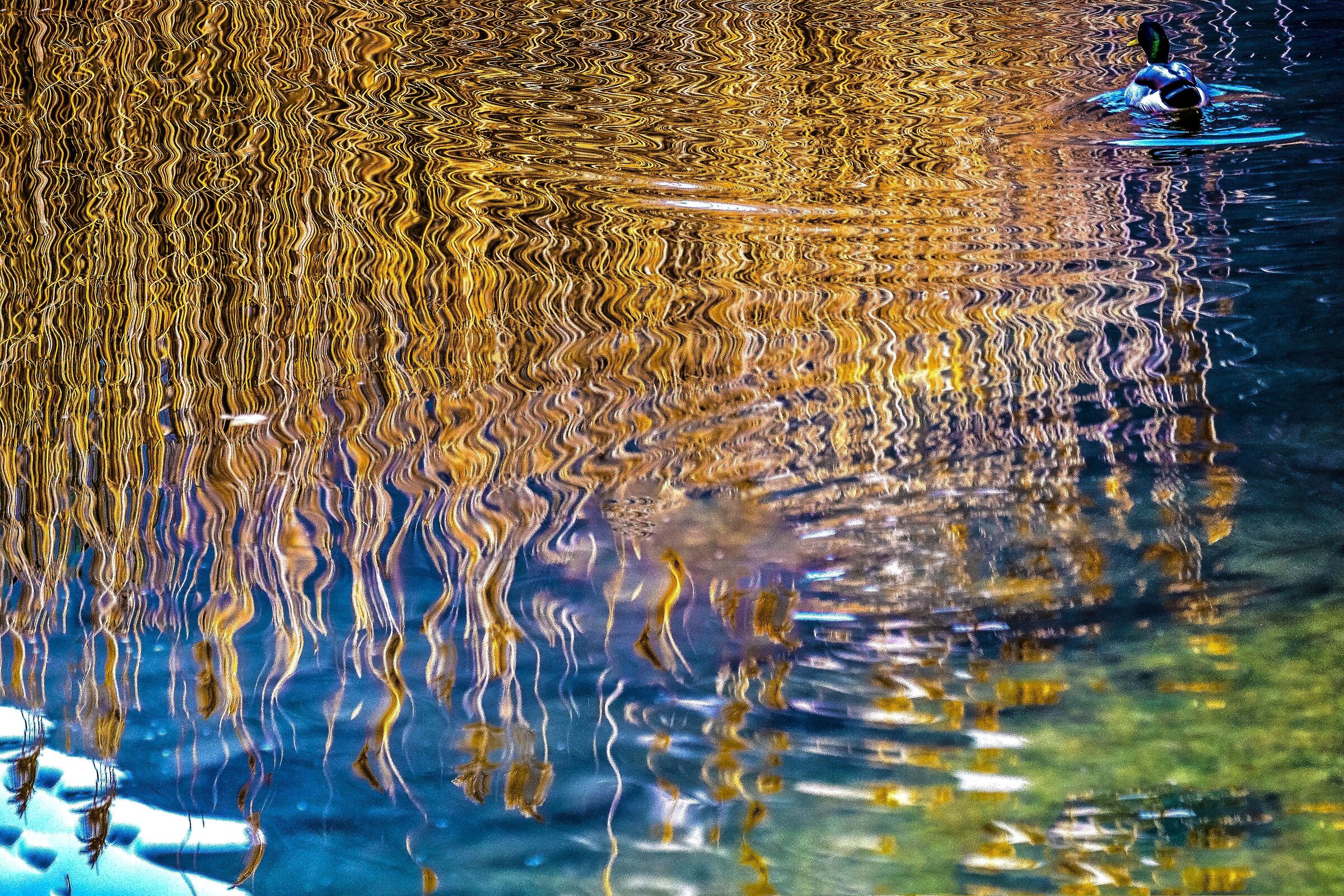 wavy reflections