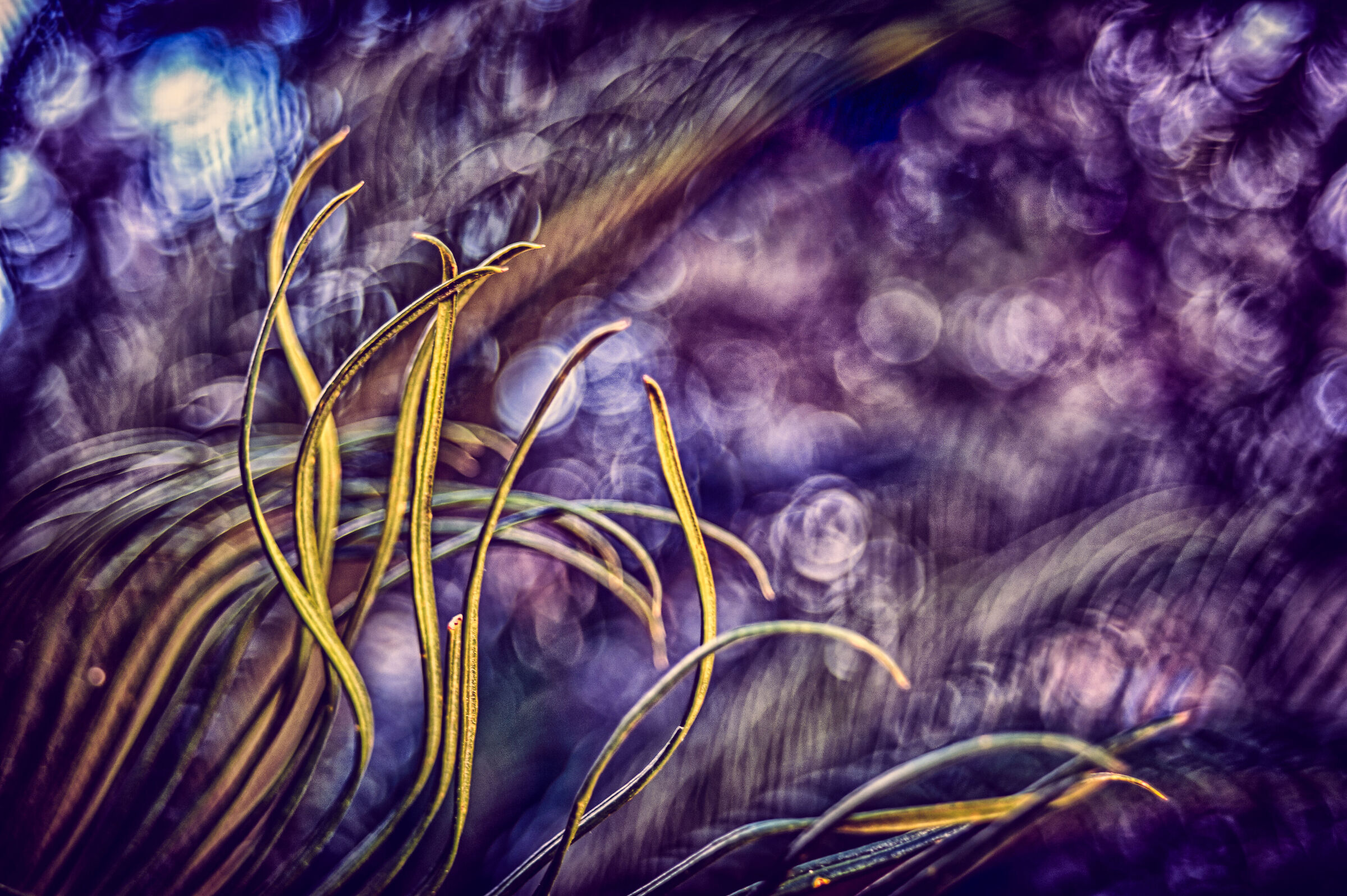 Miracle in the grass..