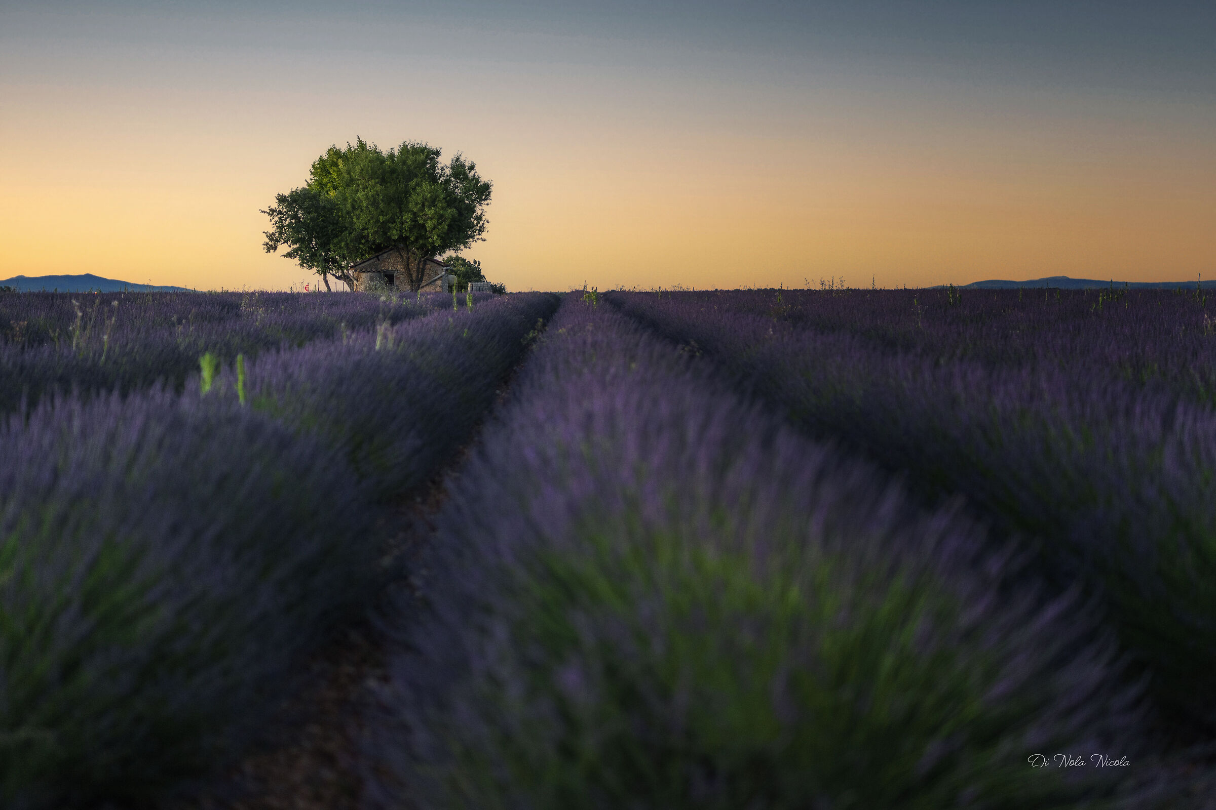 Provence