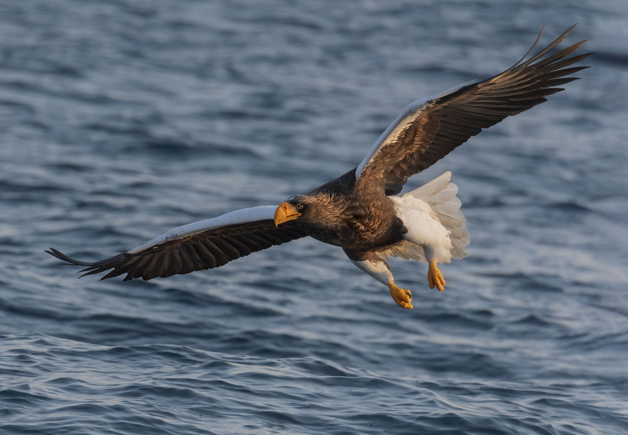 Early morning fishing