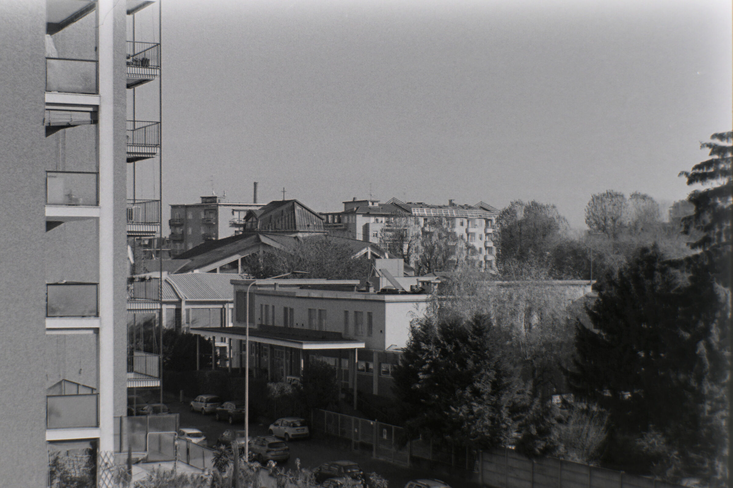 negative Leica 1a, inverted in Photoshop