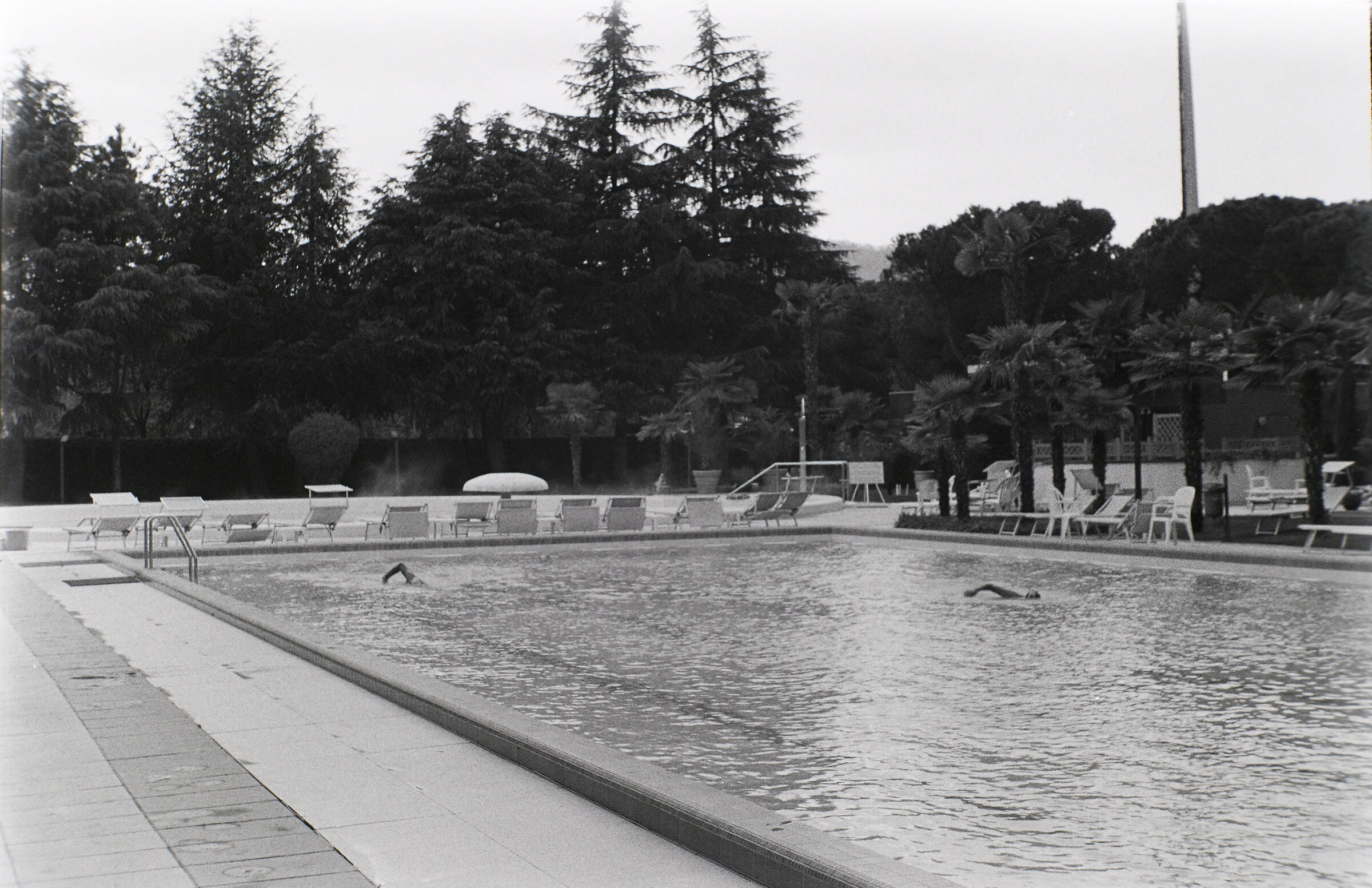 negative Leica 1a , inverted in Photoshop