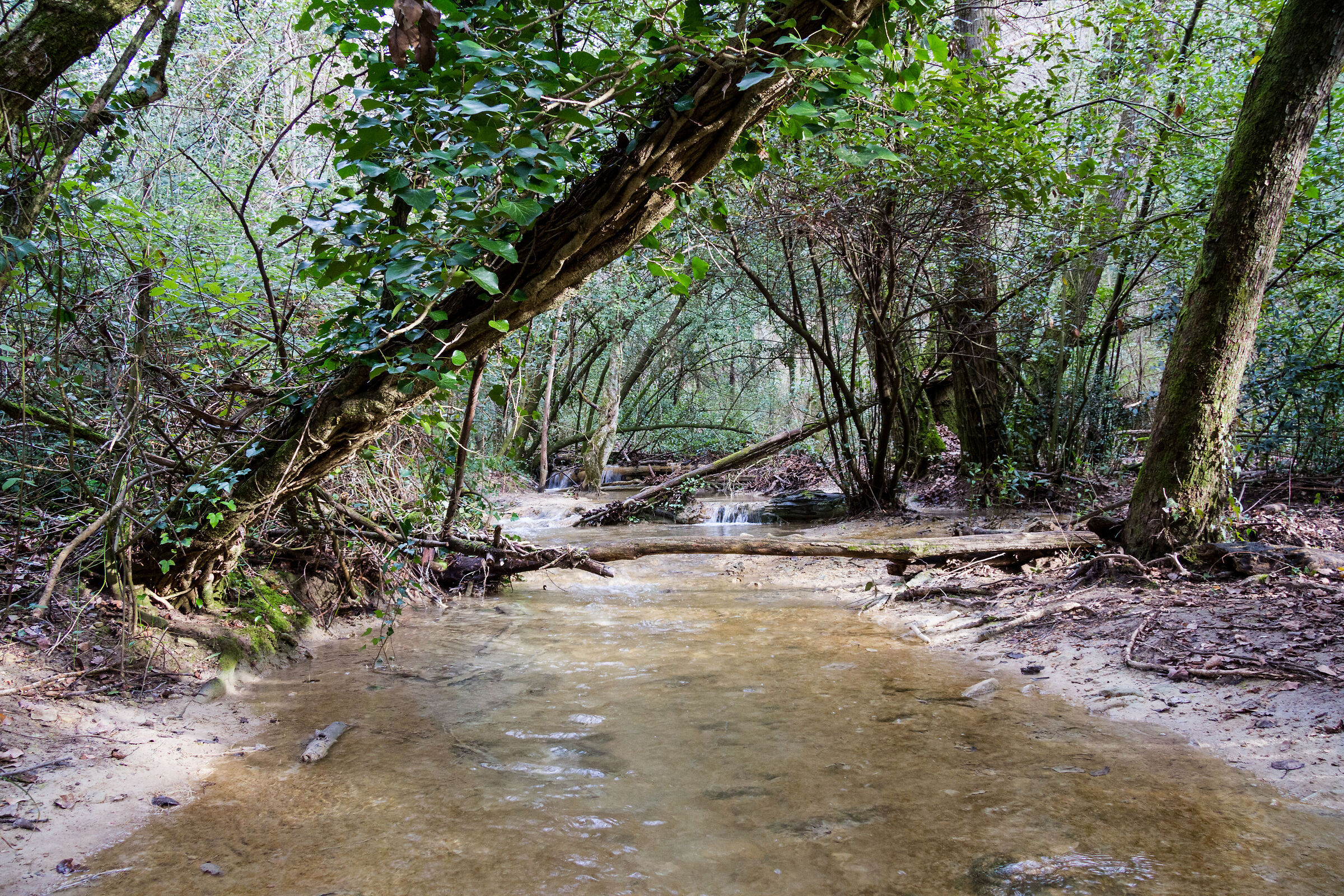 The River of the Dead