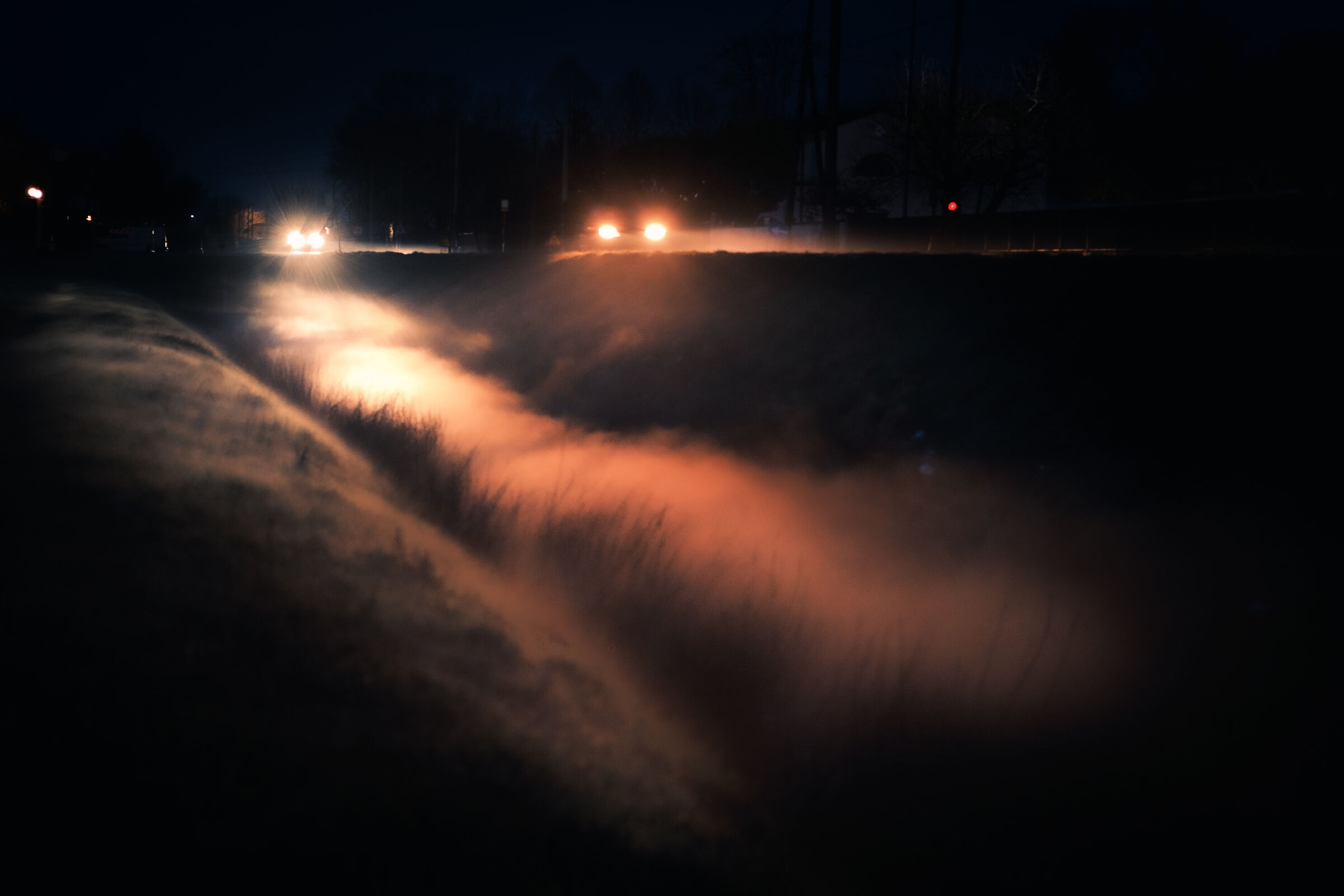 The Fog