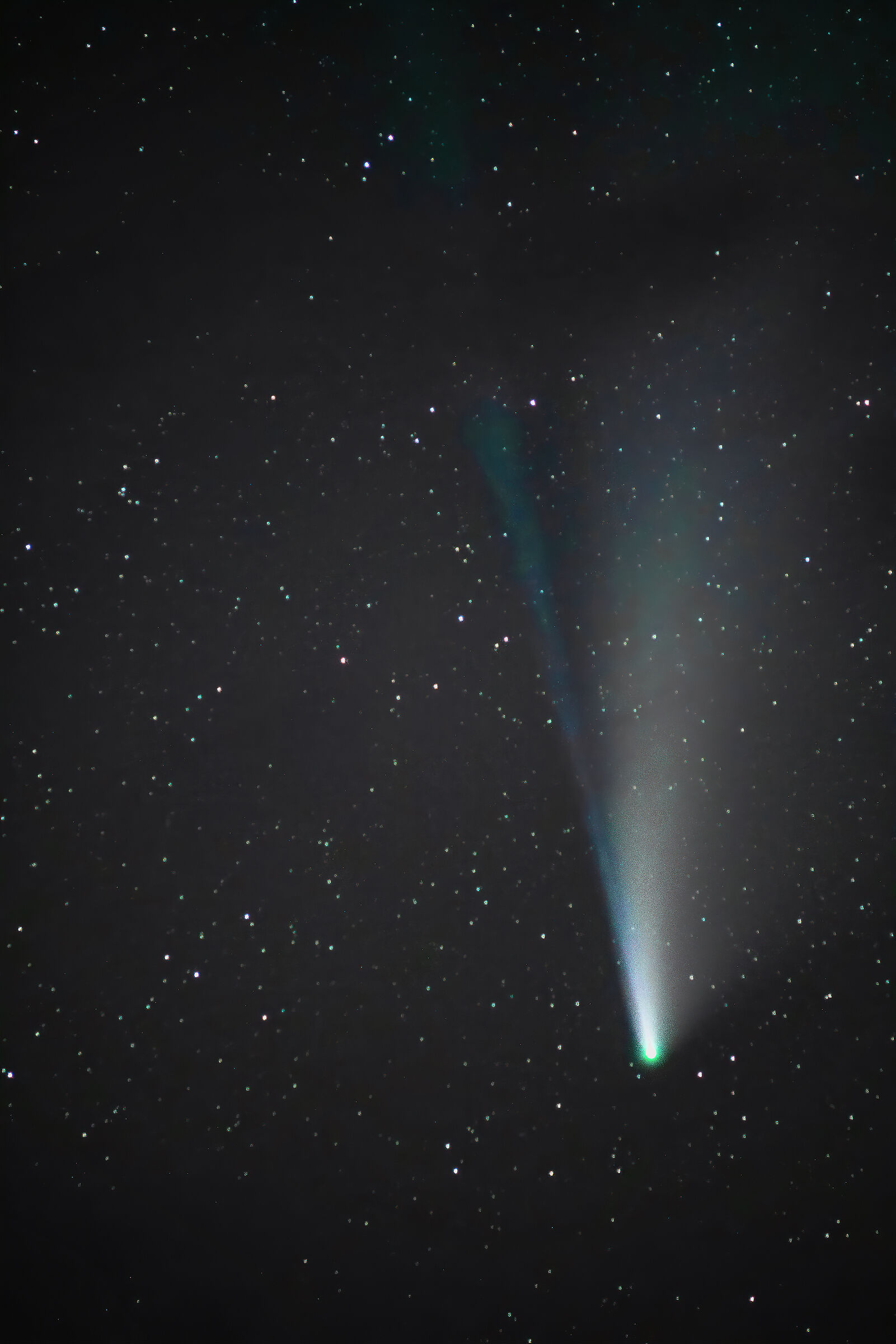 Cometa Neowise