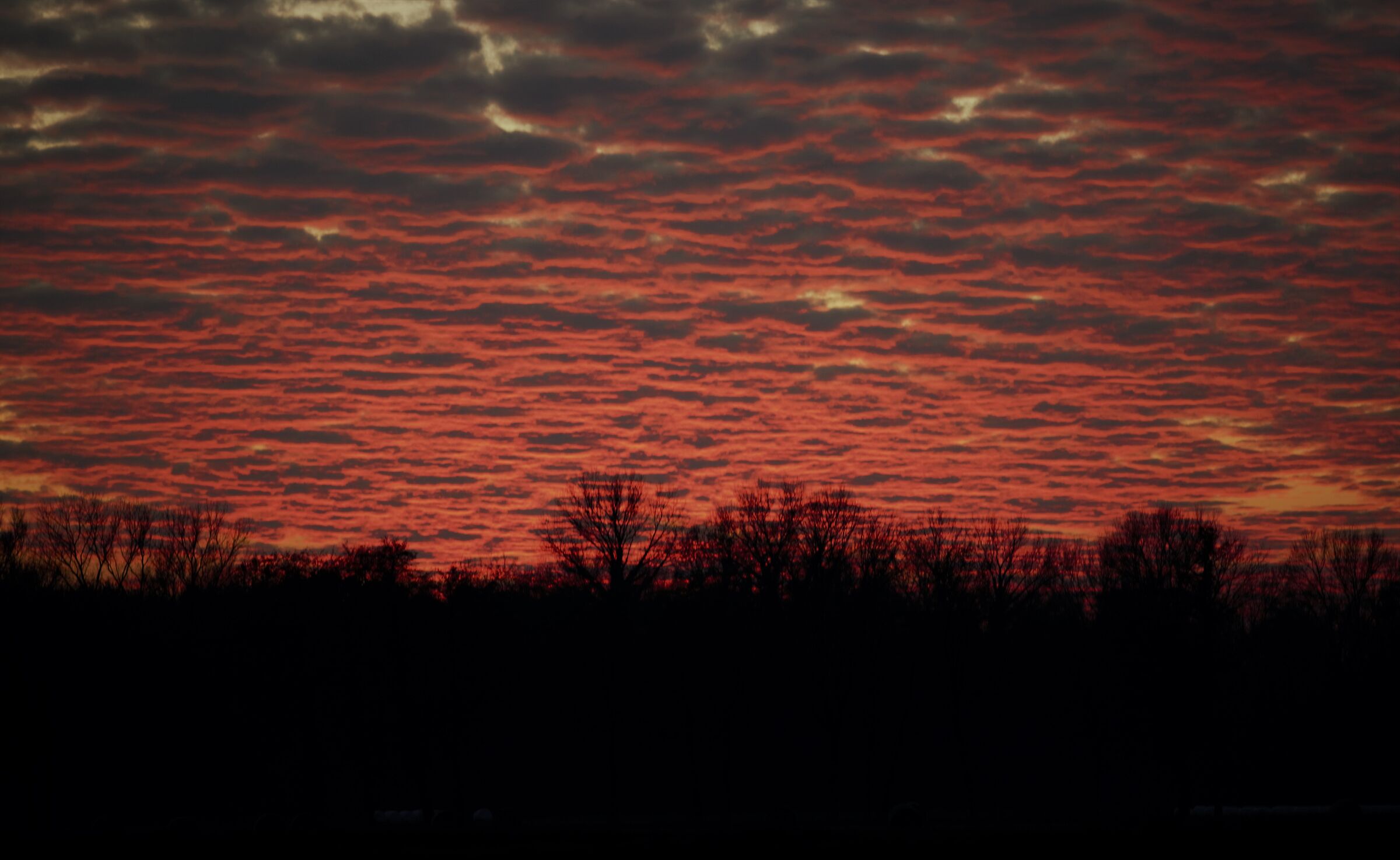 cielo a pecorelle...........