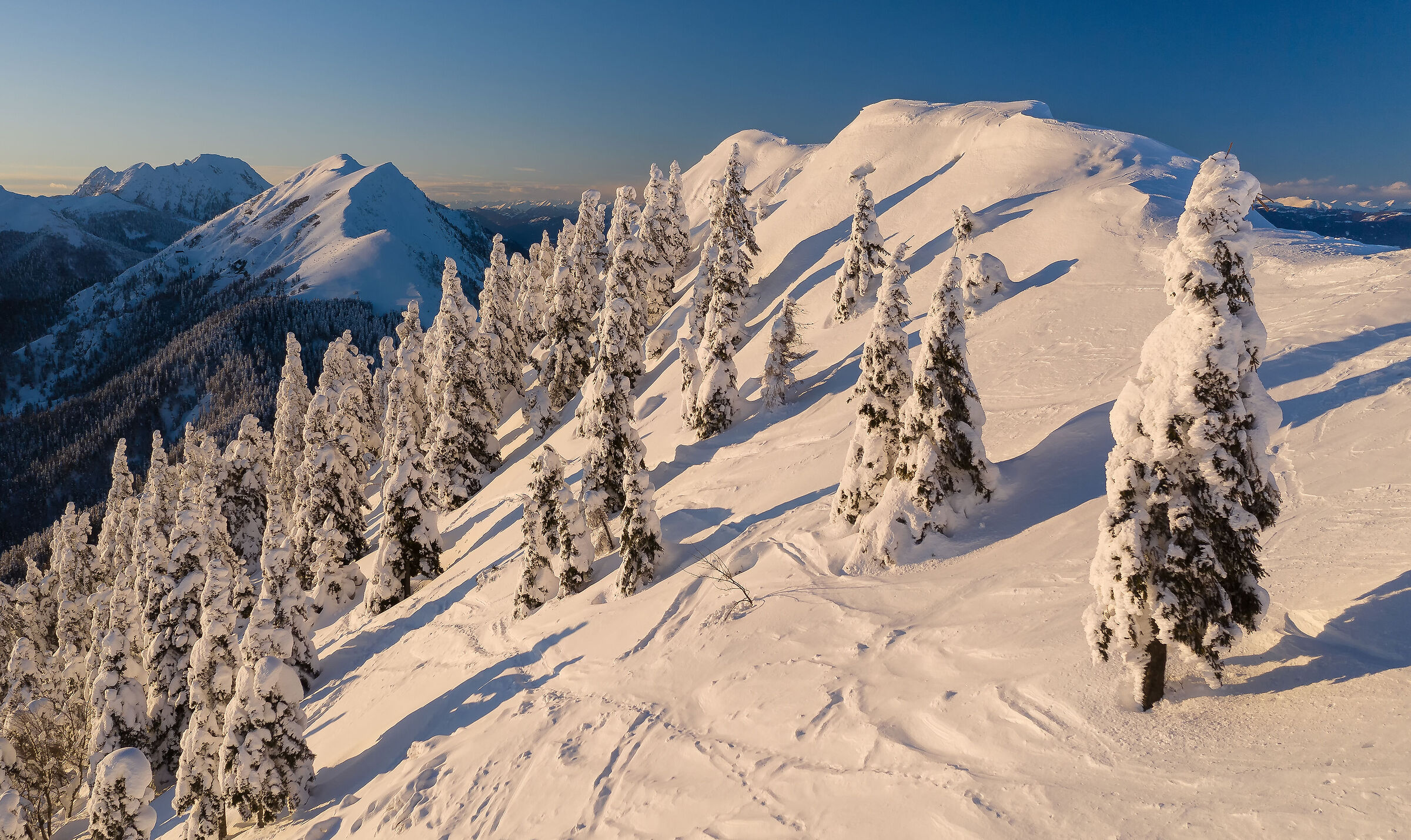 Vista aerea di una foresta invernale