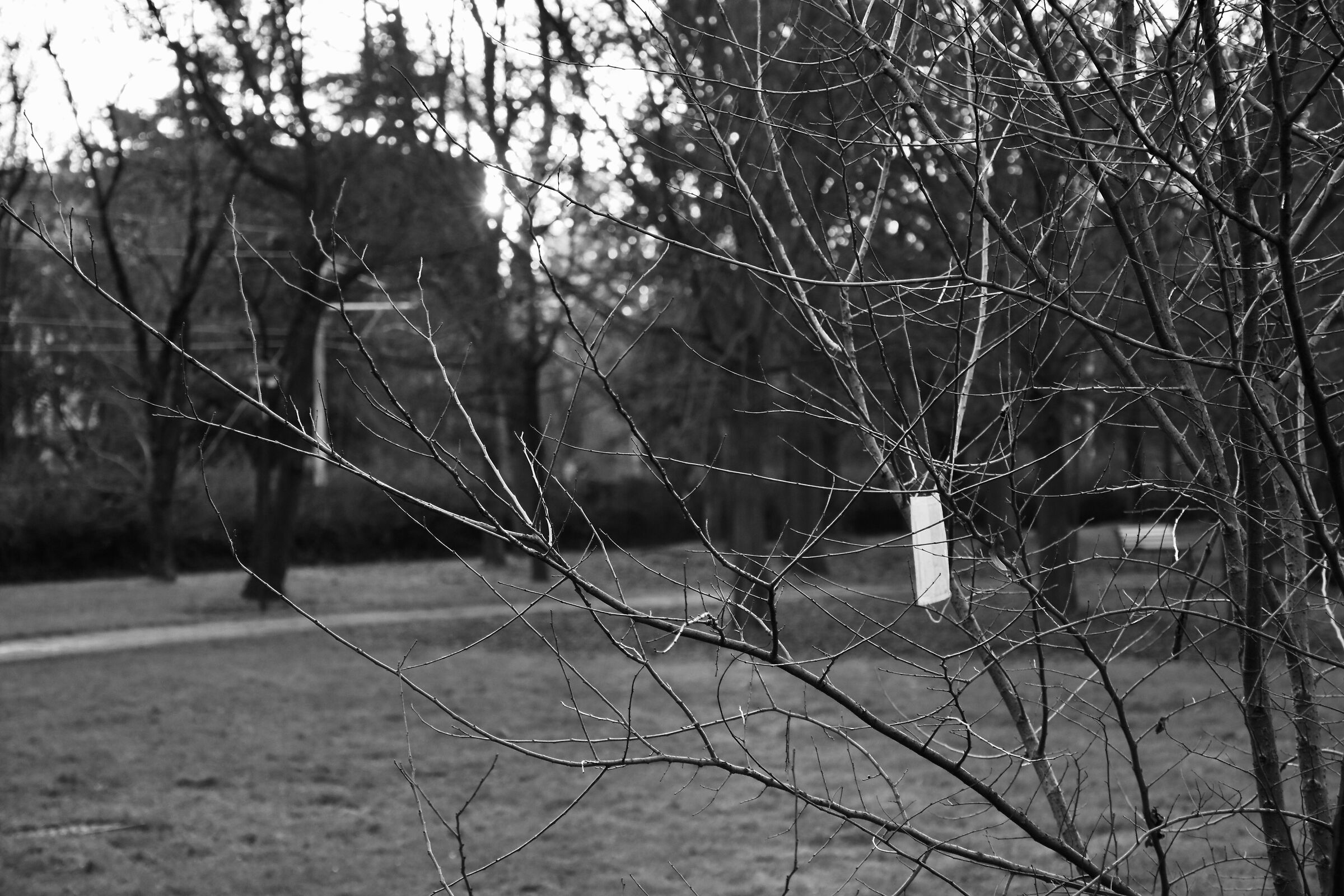 Appendiamo le maschere