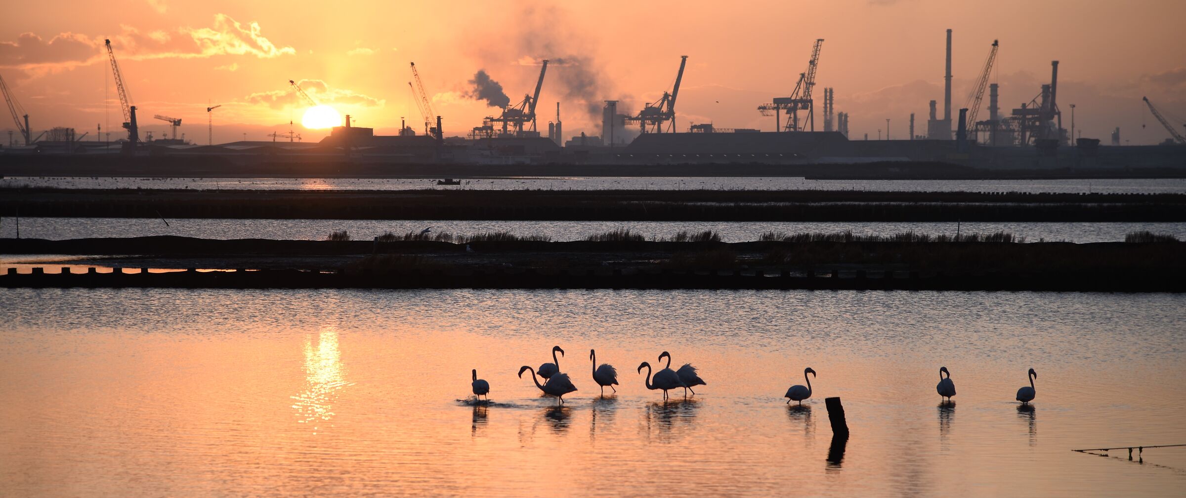 incontri inaspettati