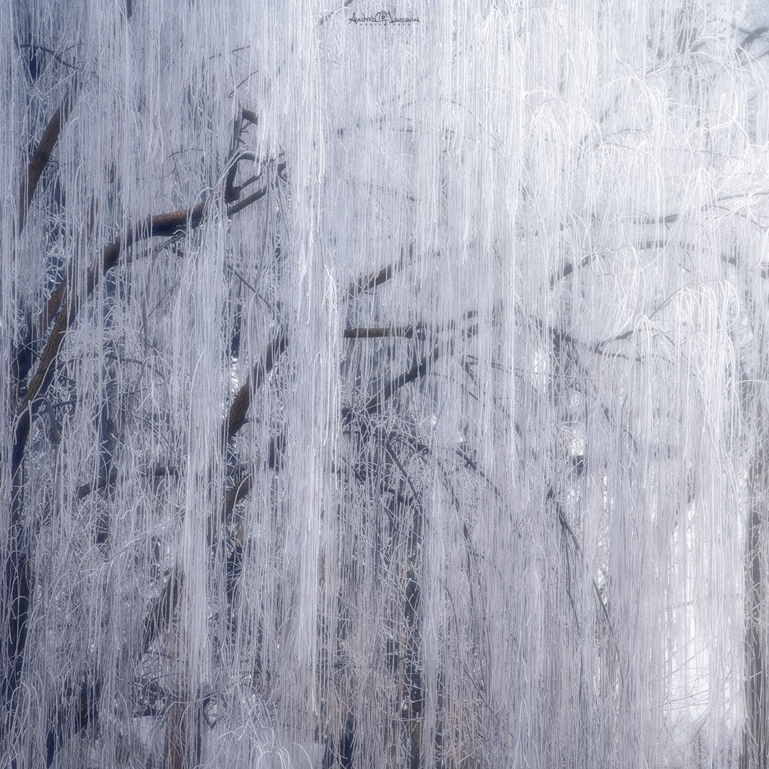 Frozen tears