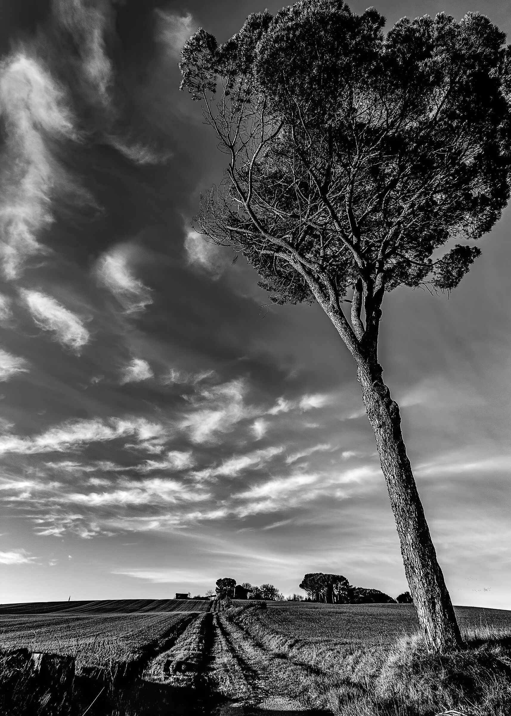 campagna umbra in tempo di clausura