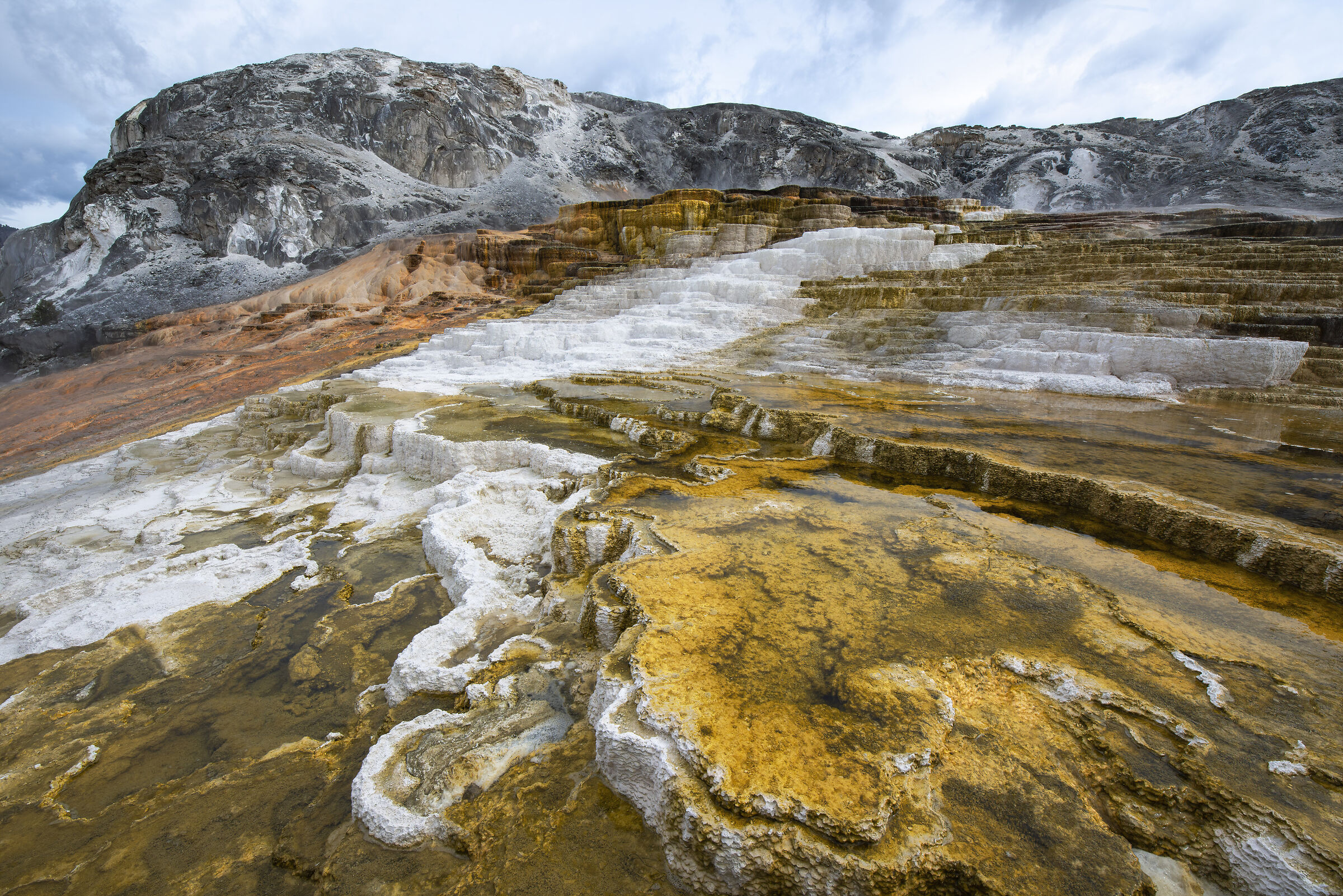 Pools @ Yellowstone National Park