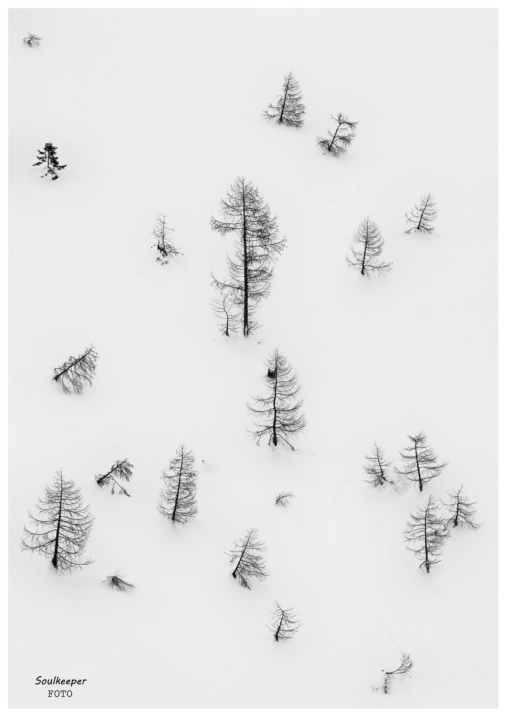 Eterna leggerezza in sintesi.