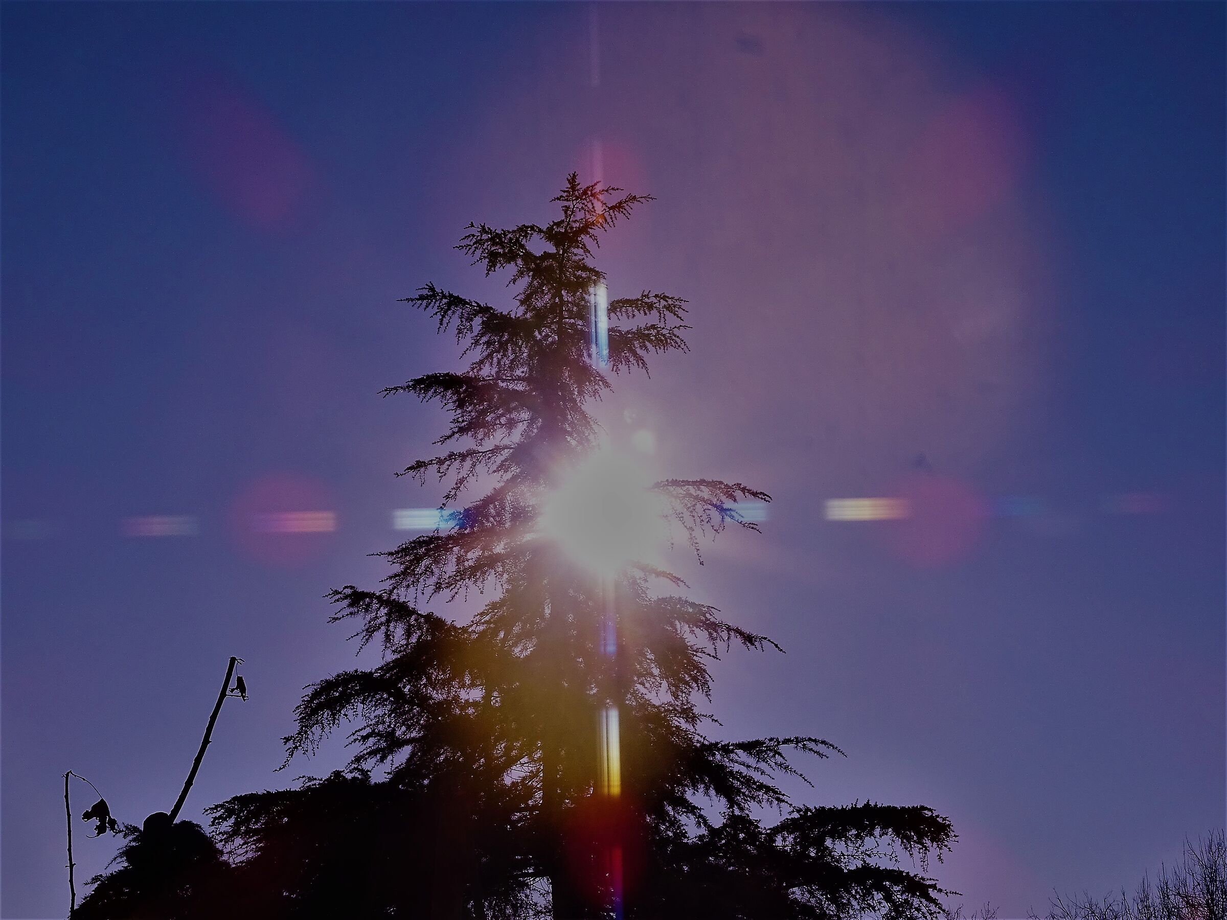 sole stamani 24.01.2021