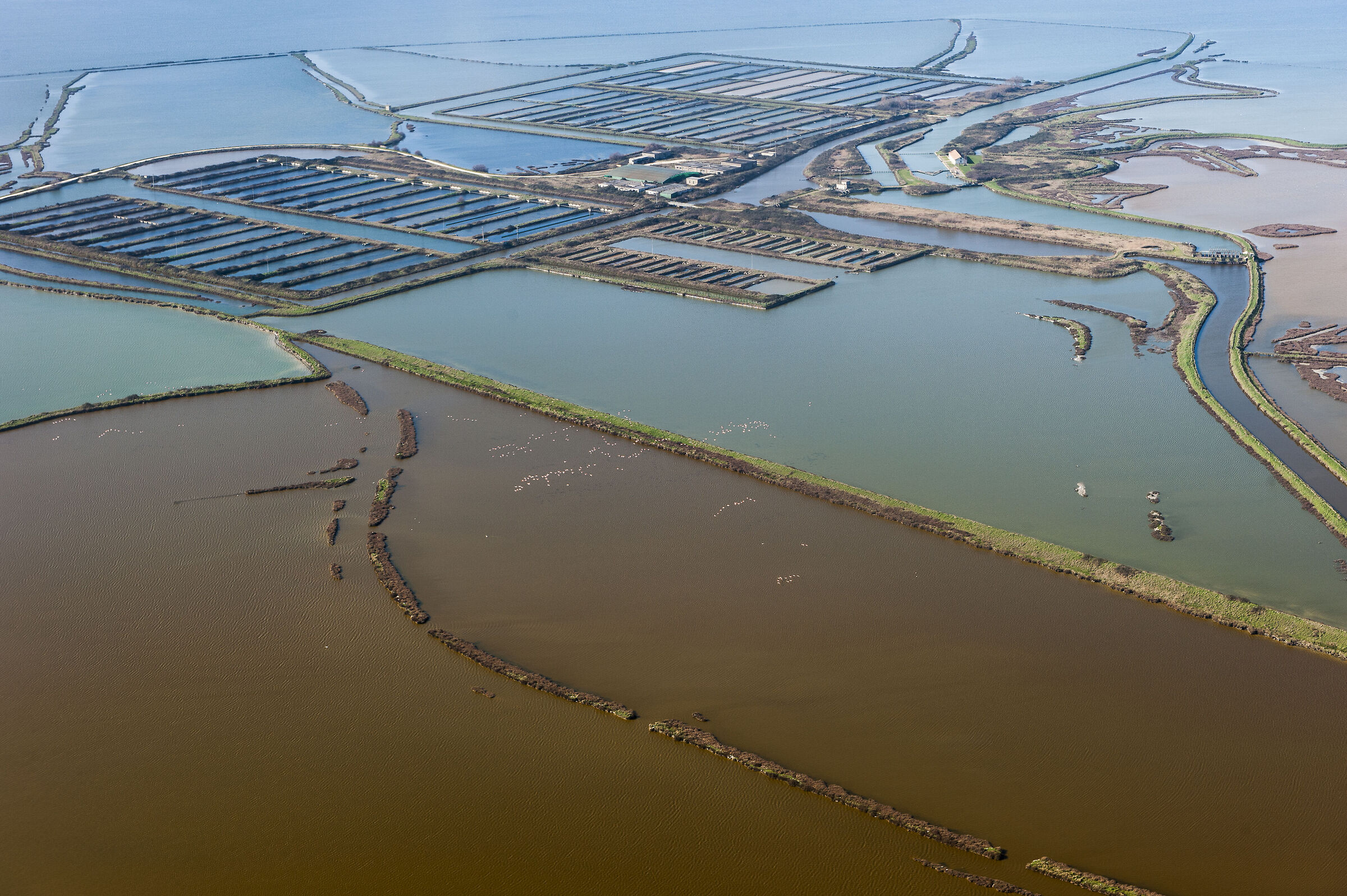 Volo sulle Valli di Comacchio