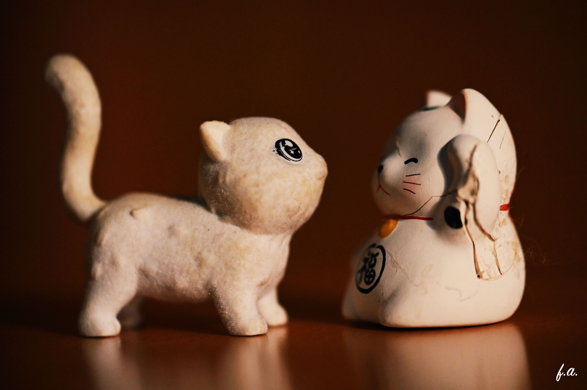 Macro cool cats...