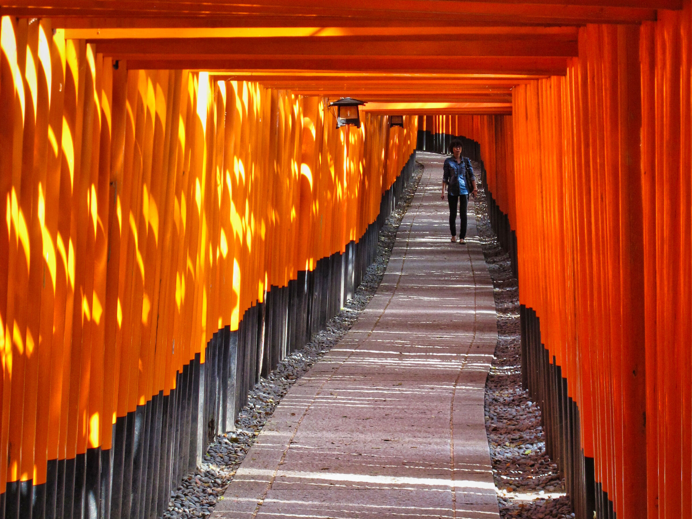 The Orange Tunnel