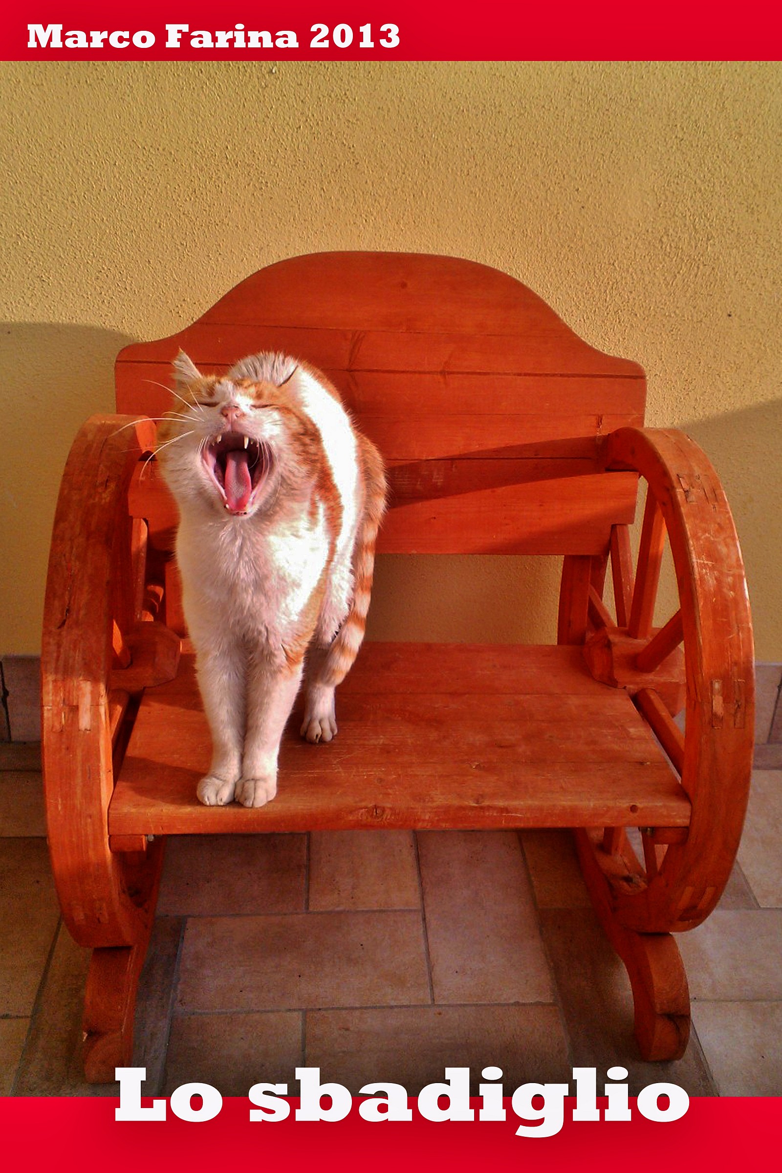 The yawn