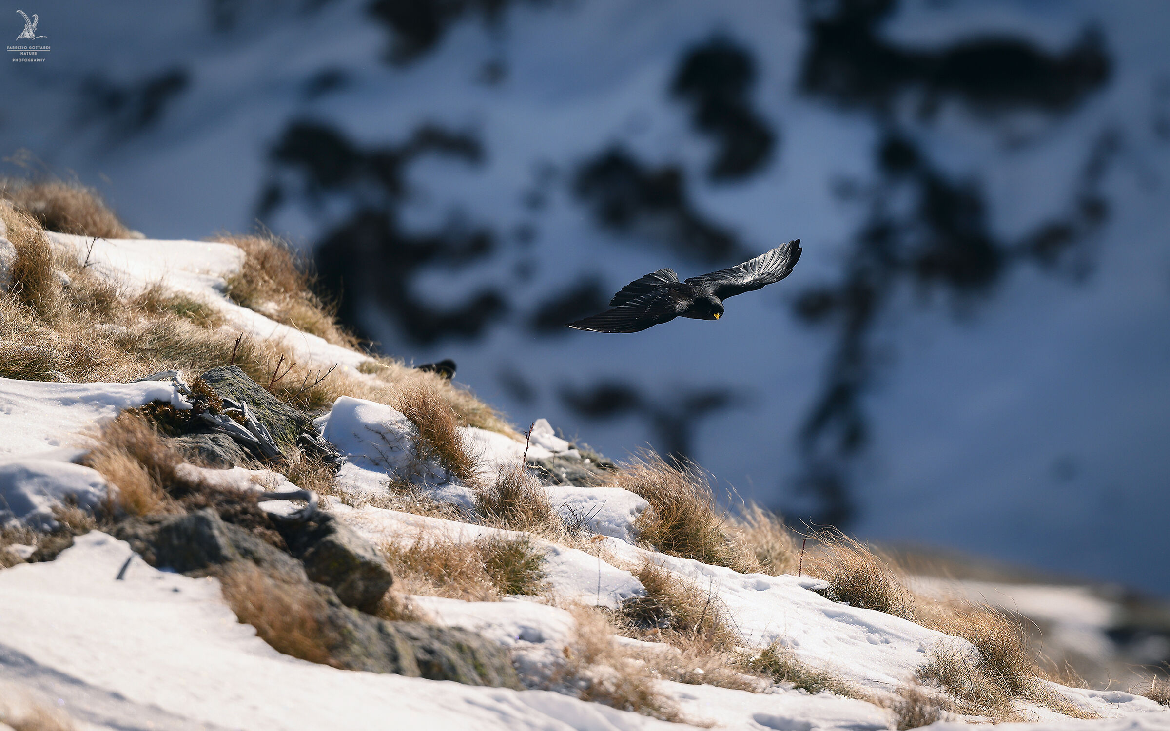 Trekker's Best Friends