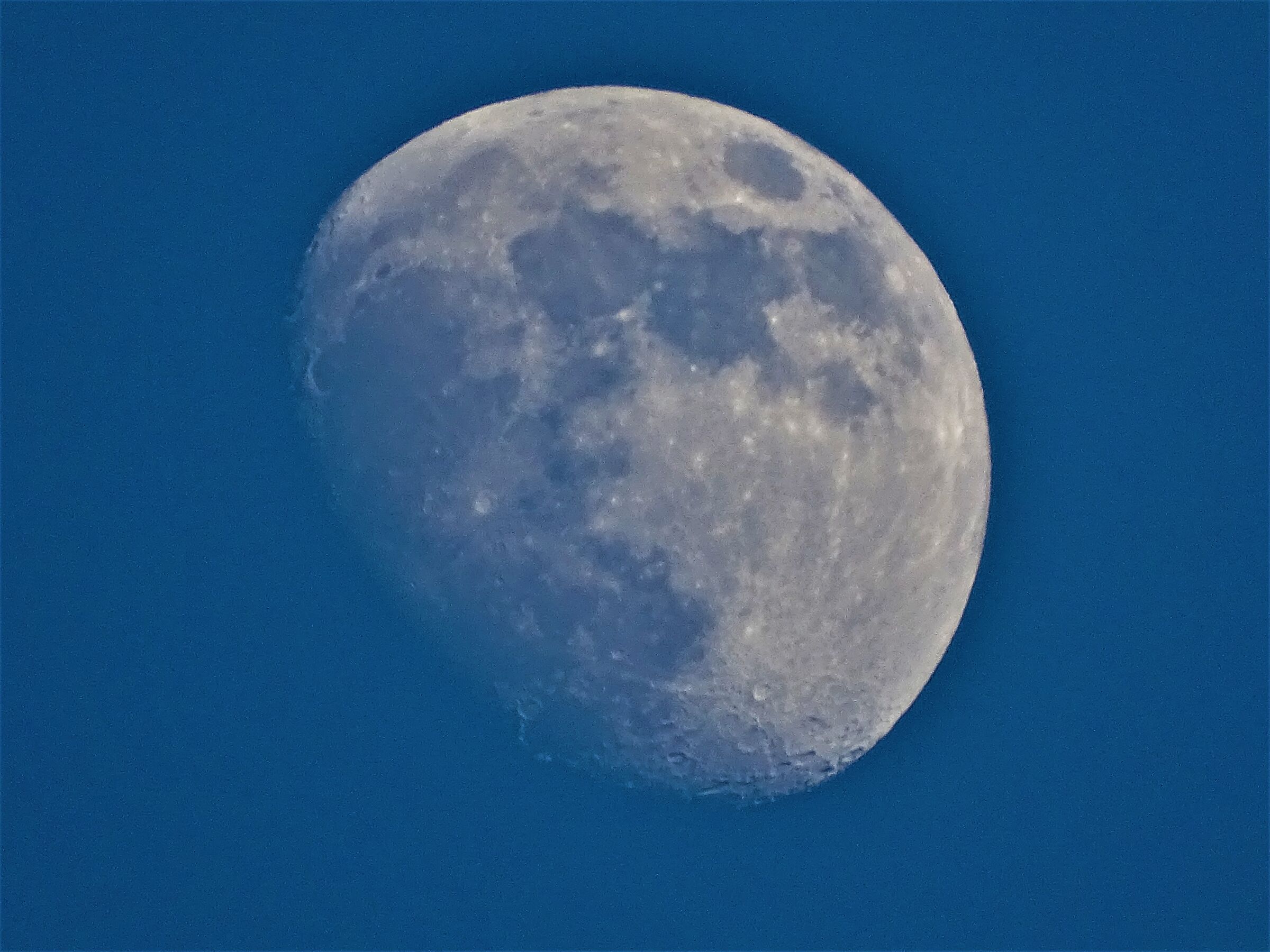 luna 24.01.2021