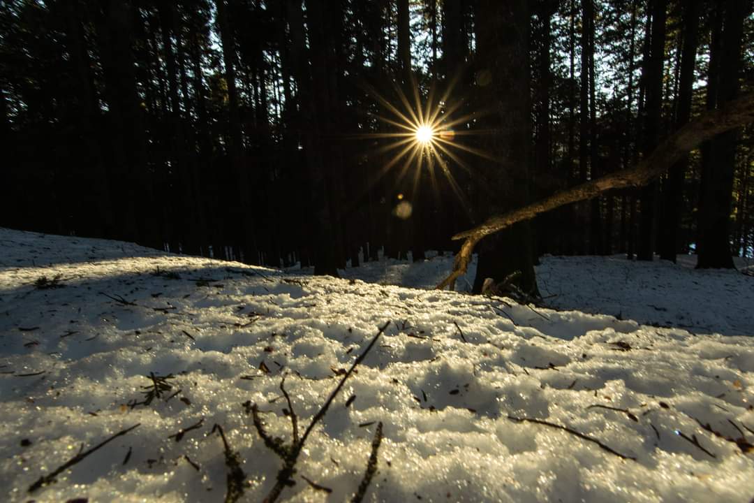 Neve parco nazionale delle foreste casentinesi