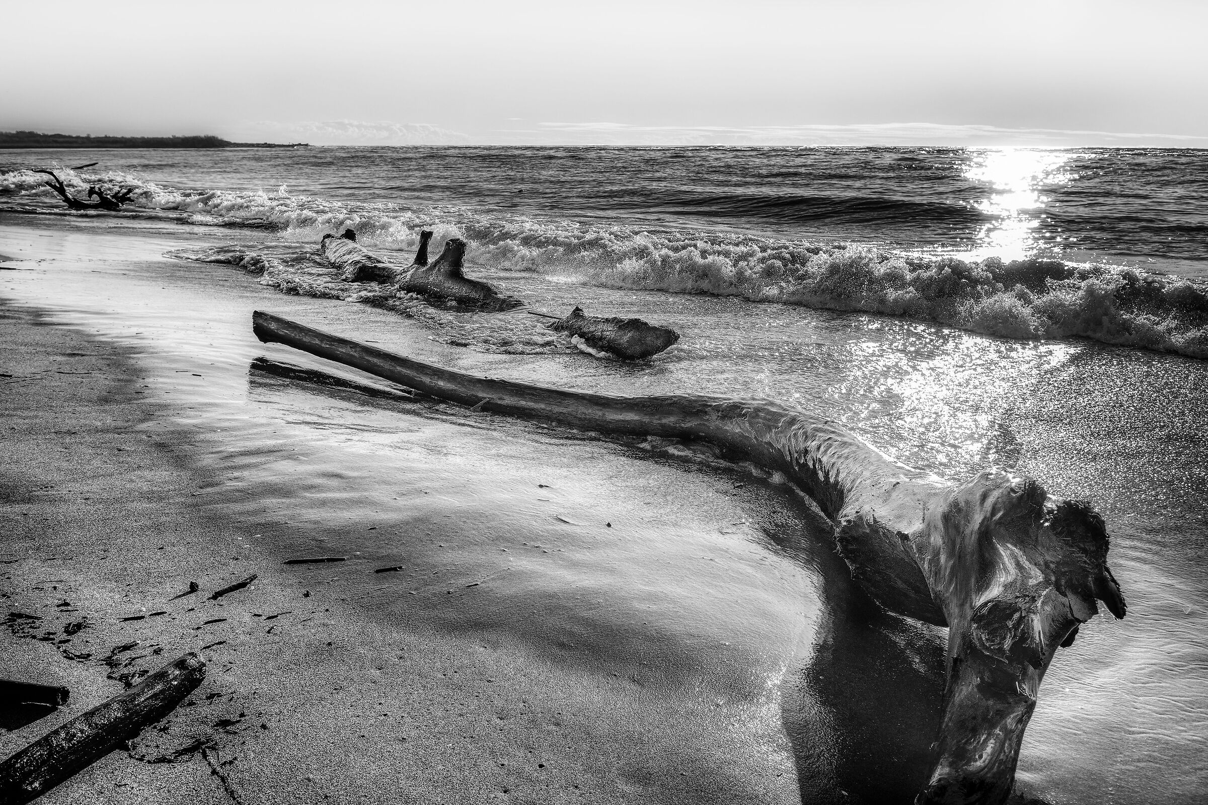 Marina di Vecchiano 24 Gennaio 2021