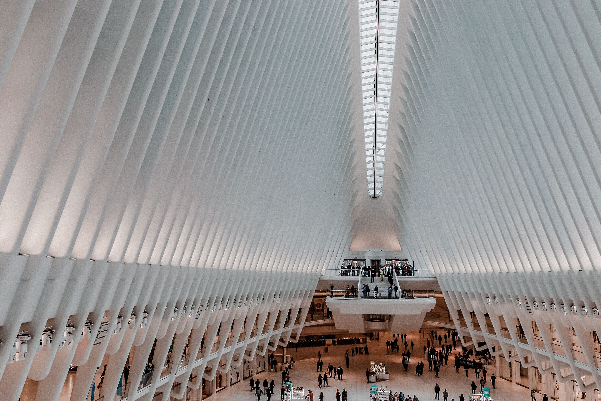 Oculus