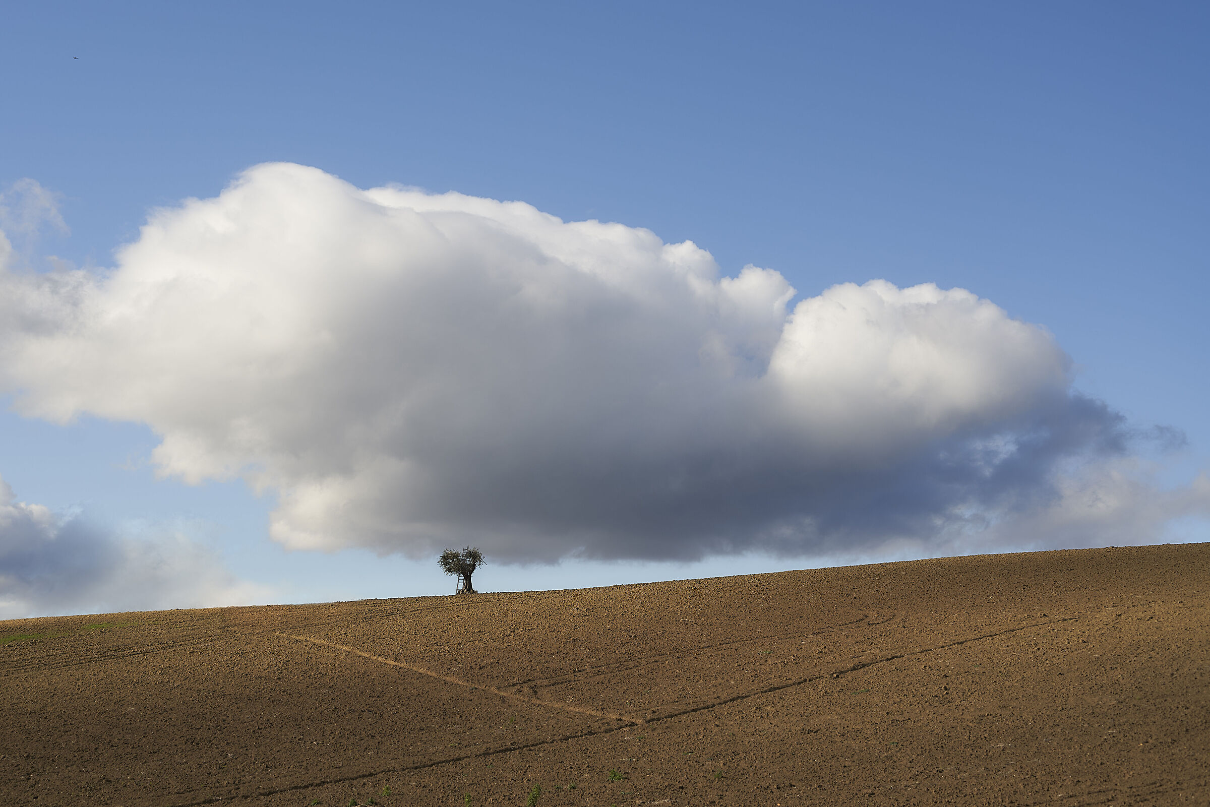 Equilibrio imperfetto