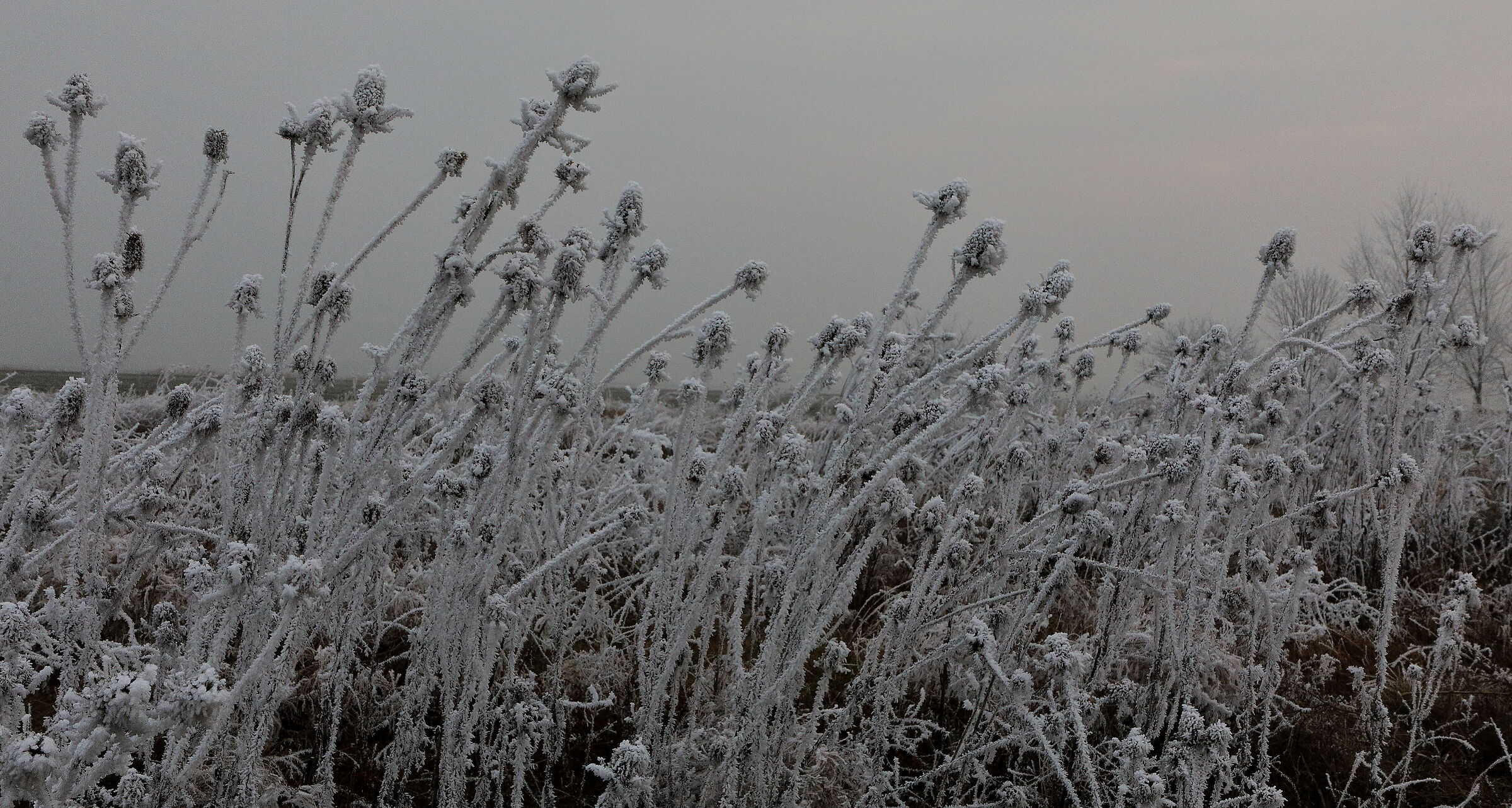 ...rigori e ricami...