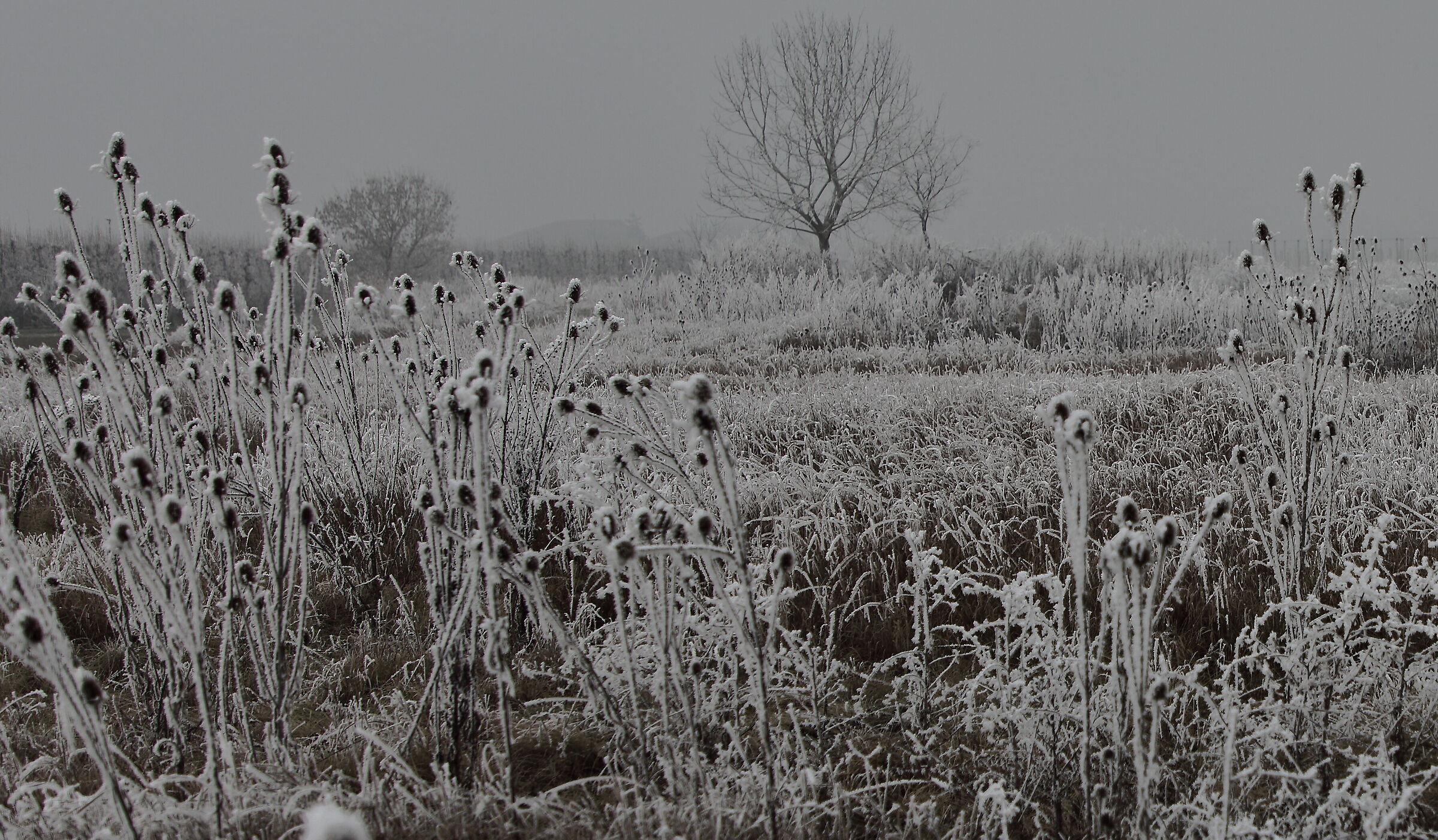 ...rigori e ricami...