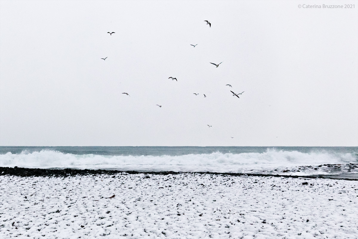 The snow on the beach is worth the silence of the seagulls