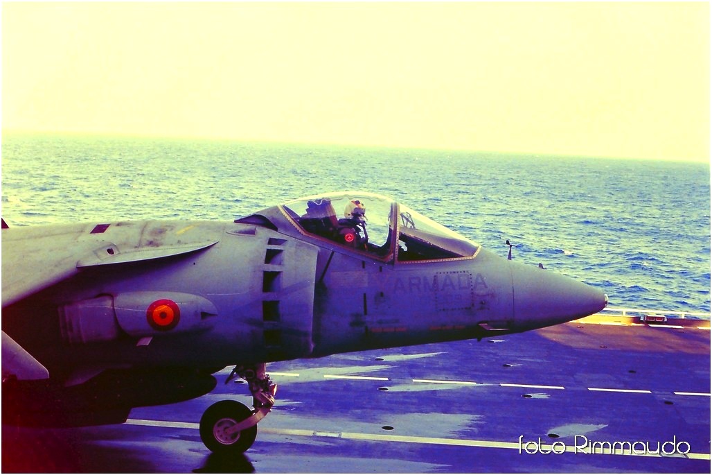 harrier Spagnolo