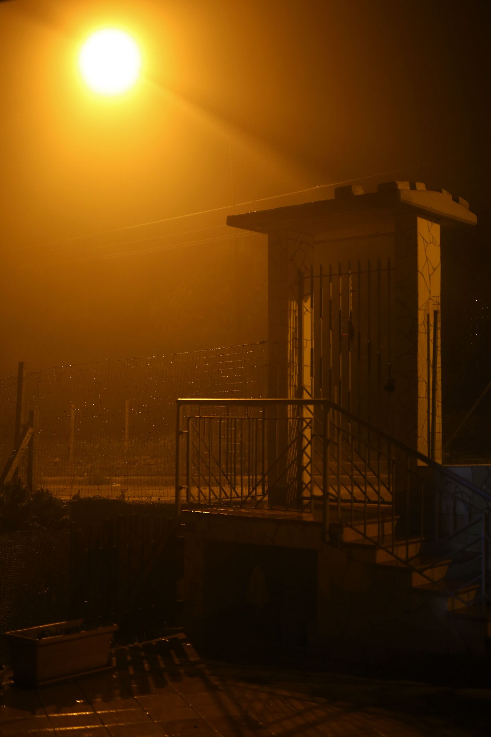 Aspettando l'alba tra la nebbia!