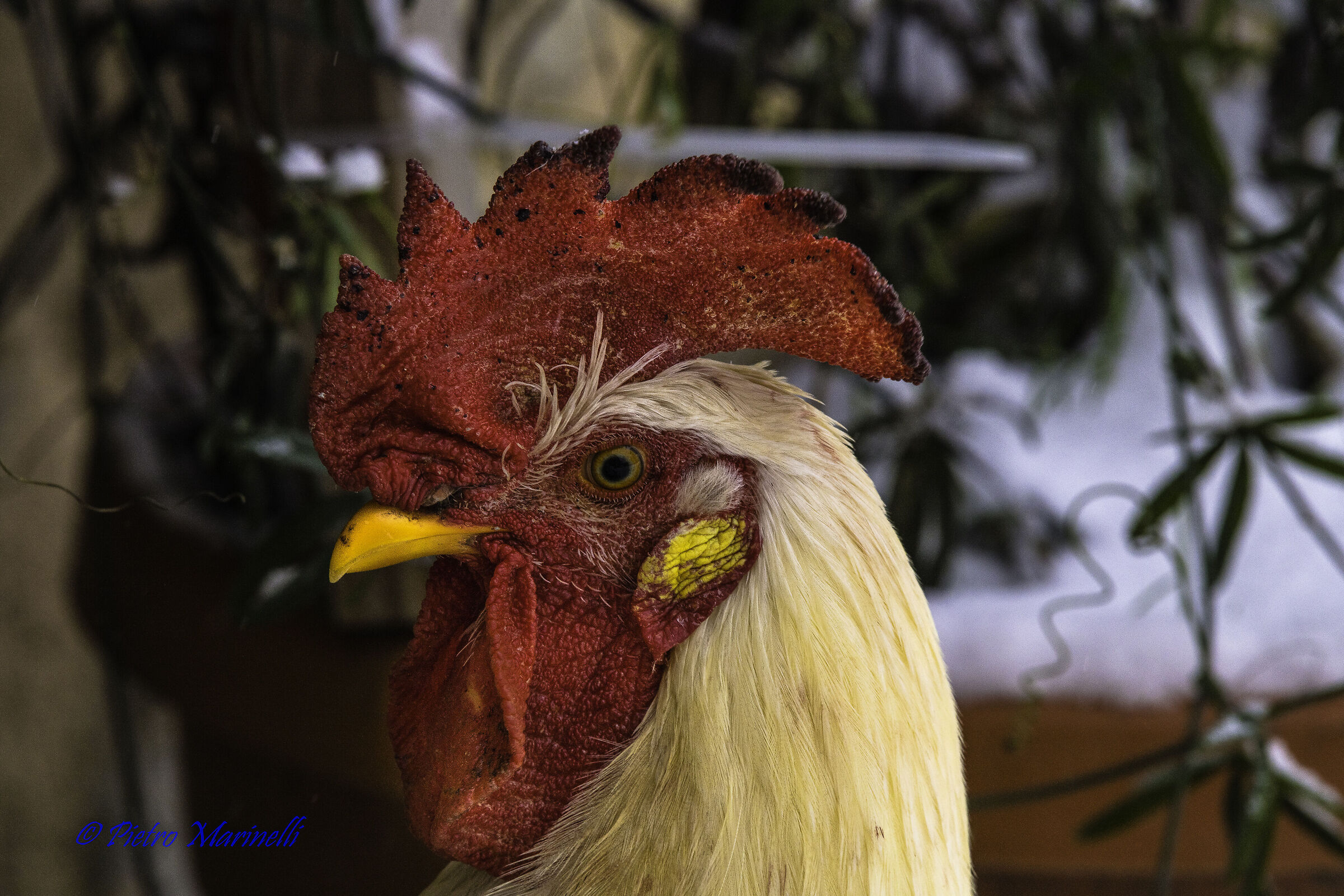 .... today I'm not in the mood..... 2