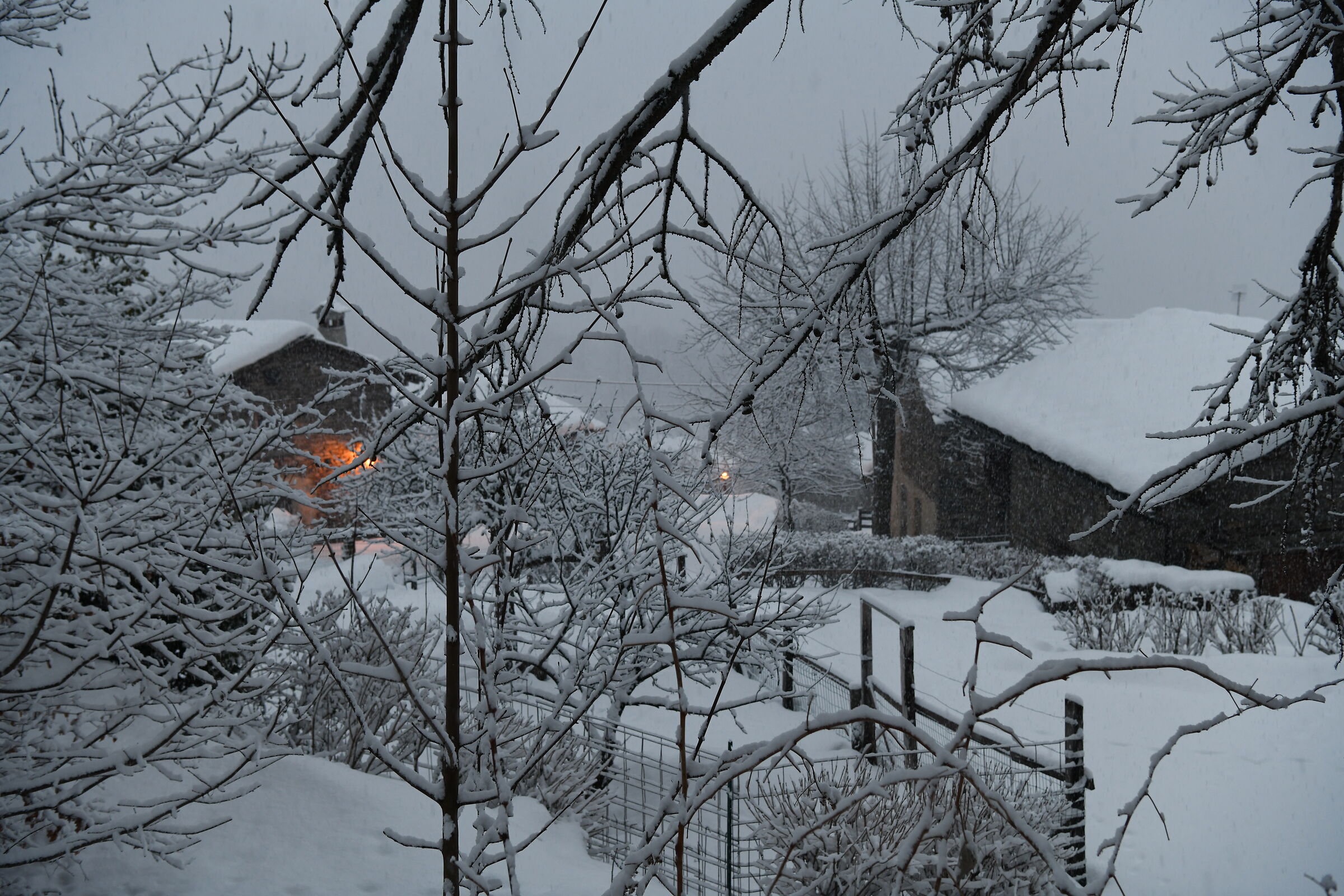 Nevicata