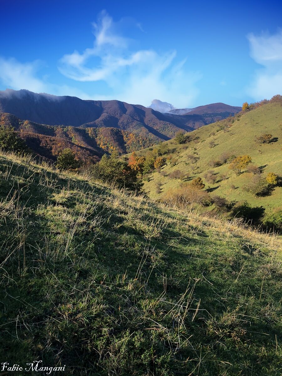 Parco nazionale delle foreste Casentinesi