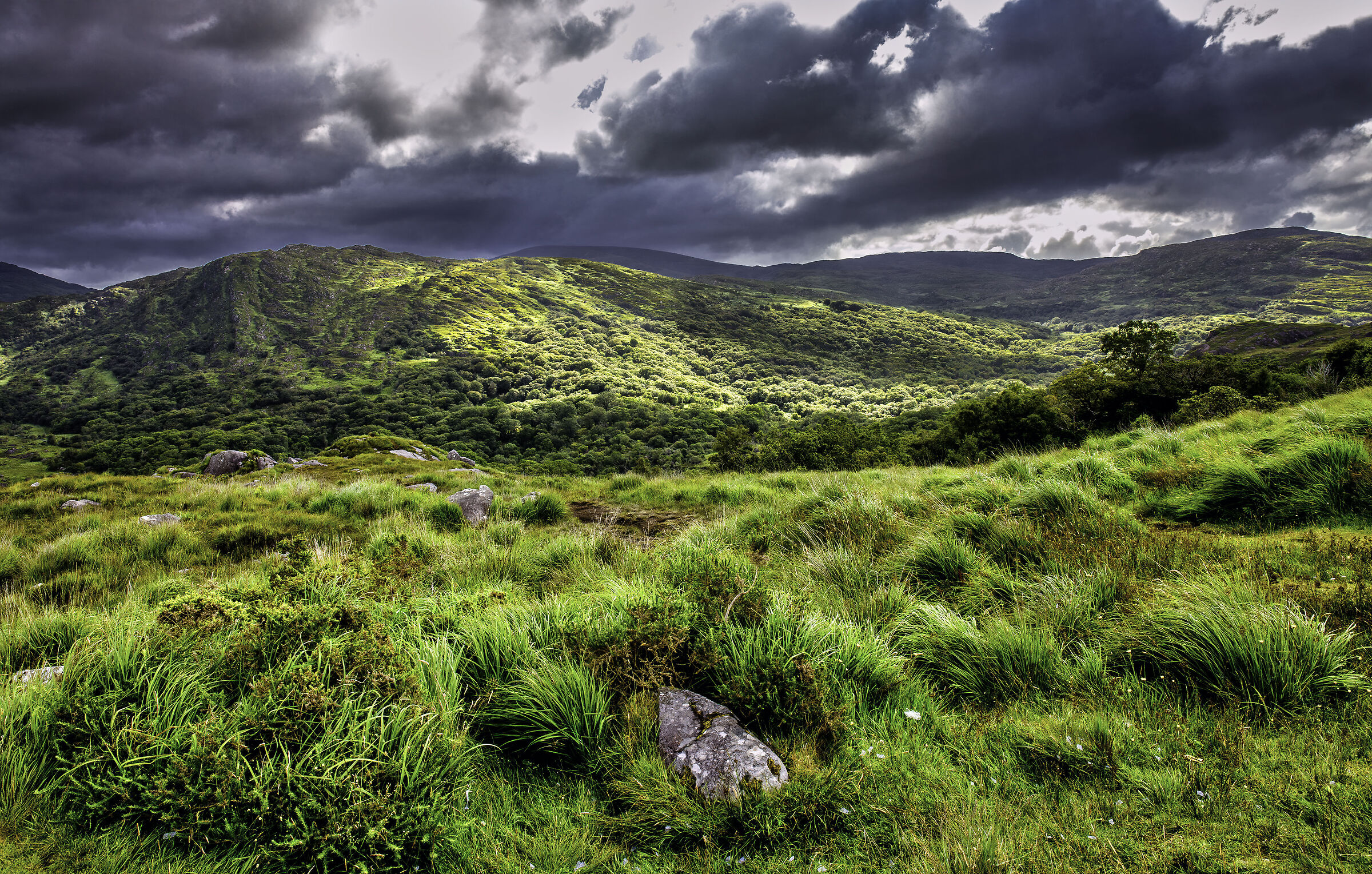 No, non è un uovo di dinosauro!