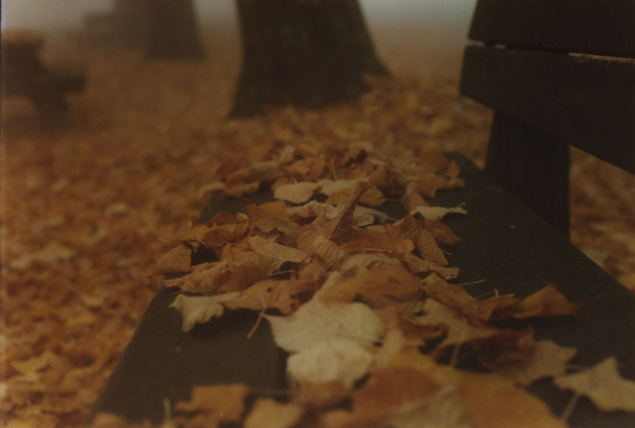 Foto a foro stenopeico